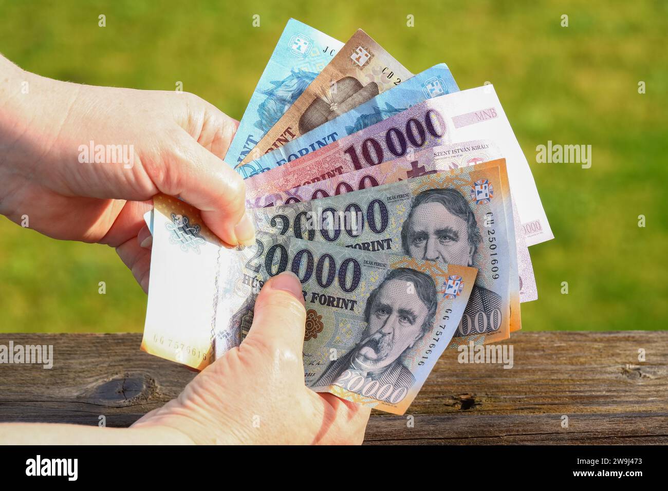 Hungary money, Woman holds a handful of Hungarian Forints in her hand, various banknotes, Financial concept Stock Photo
