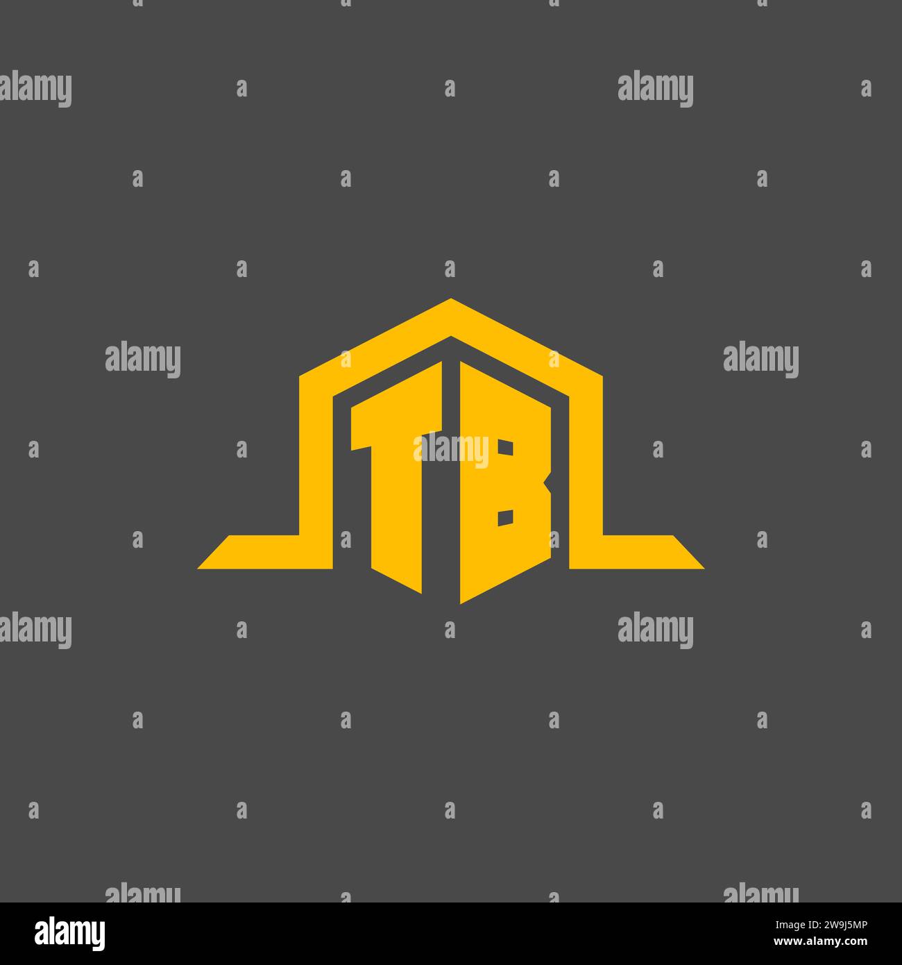TB monogram initial logo with hexagon style design ideas Stock Vector