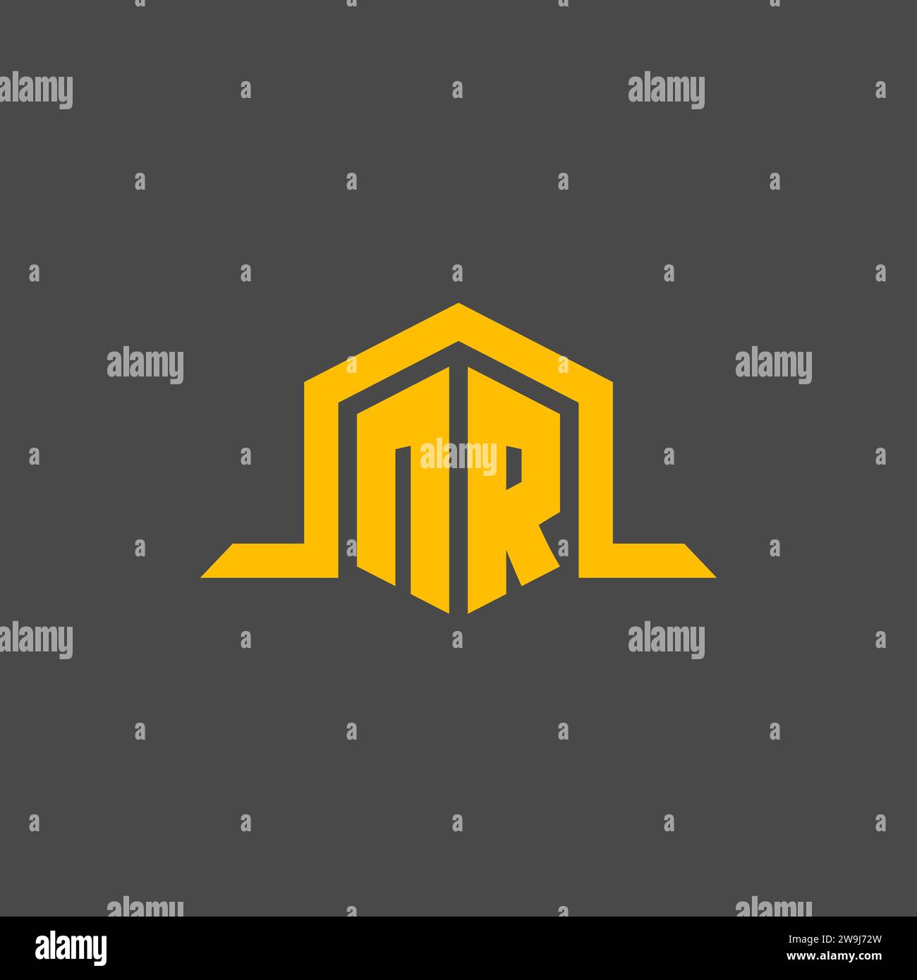 NR monogram initial logo with hexagon style design ideas Stock Vector