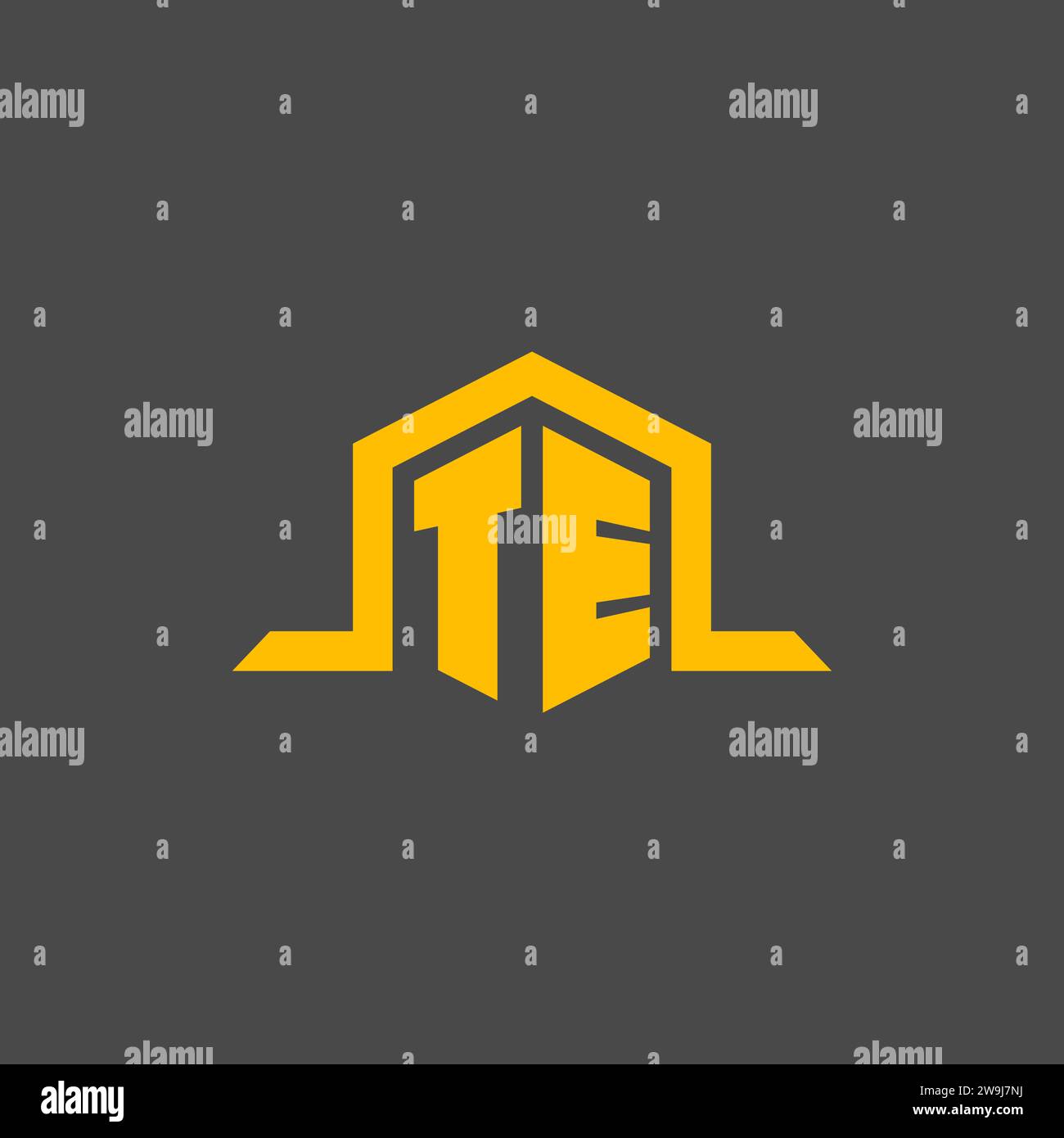 TE monogram initial logo with hexagon style design ideas Stock Vector