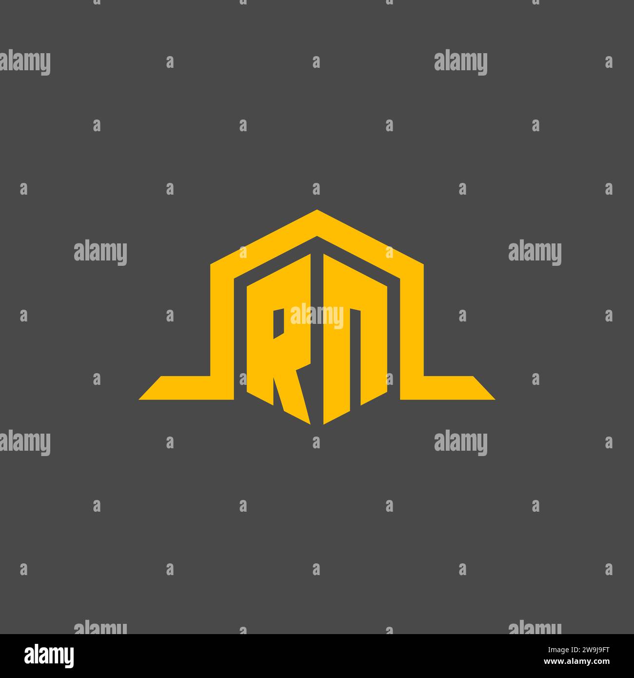 RN monogram initial logo with hexagon style design ideas Stock Vector