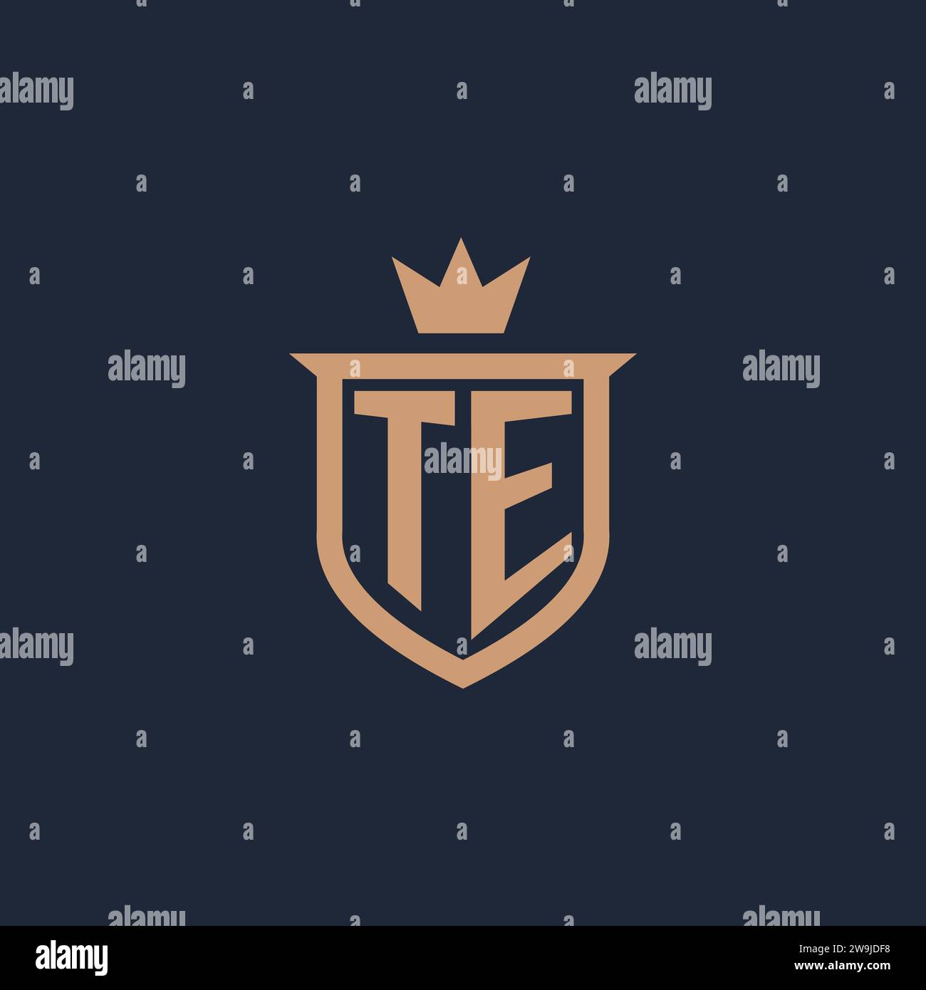 TE monogram initial logo with shield and crown style design ideas Stock Vector
