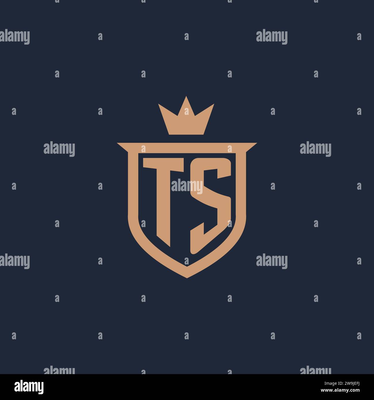 TS monogram initial logo with shield and crown style design ideas Stock