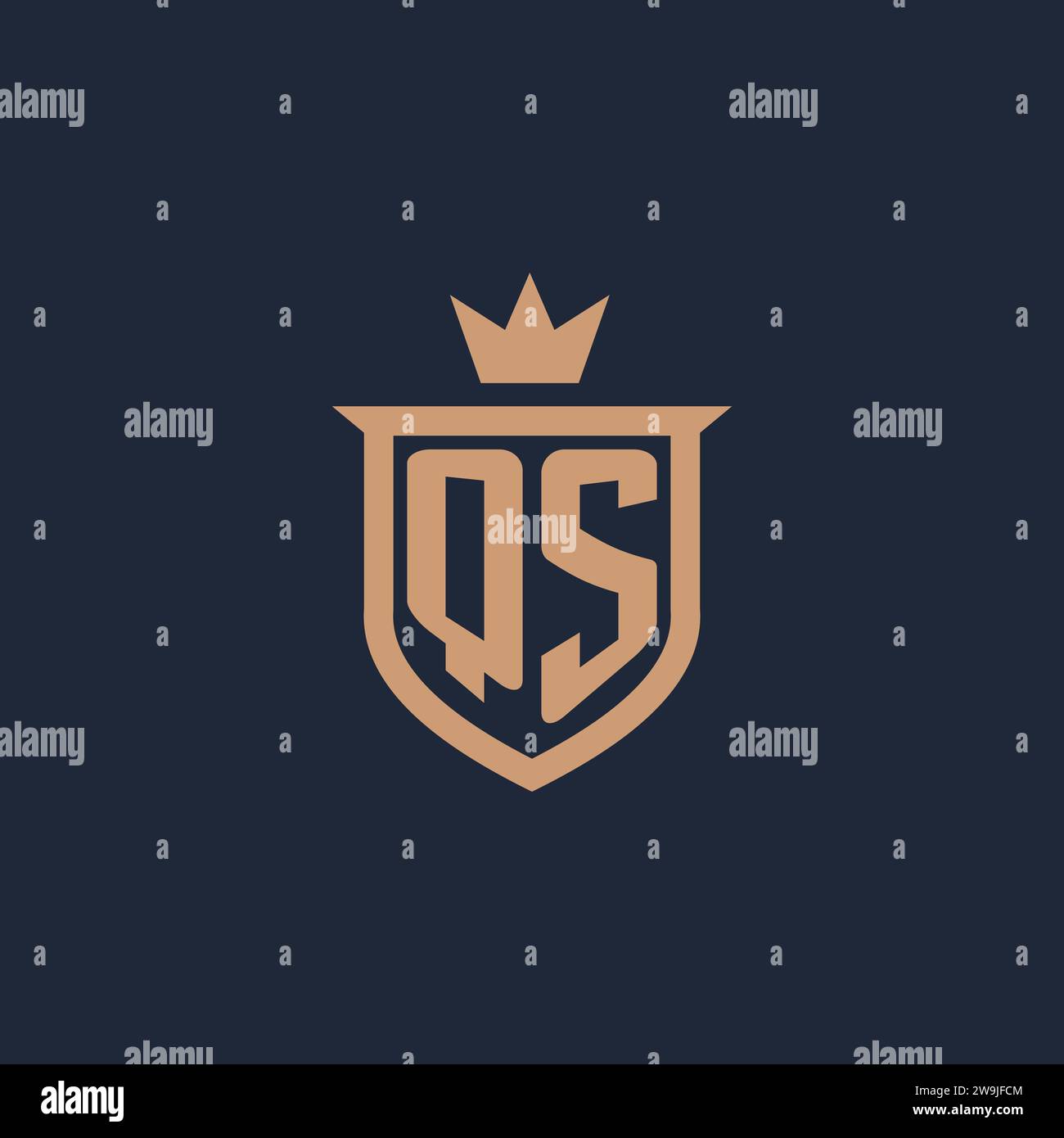QS monogram initial logo with shield and crown style design ideas Stock Vector