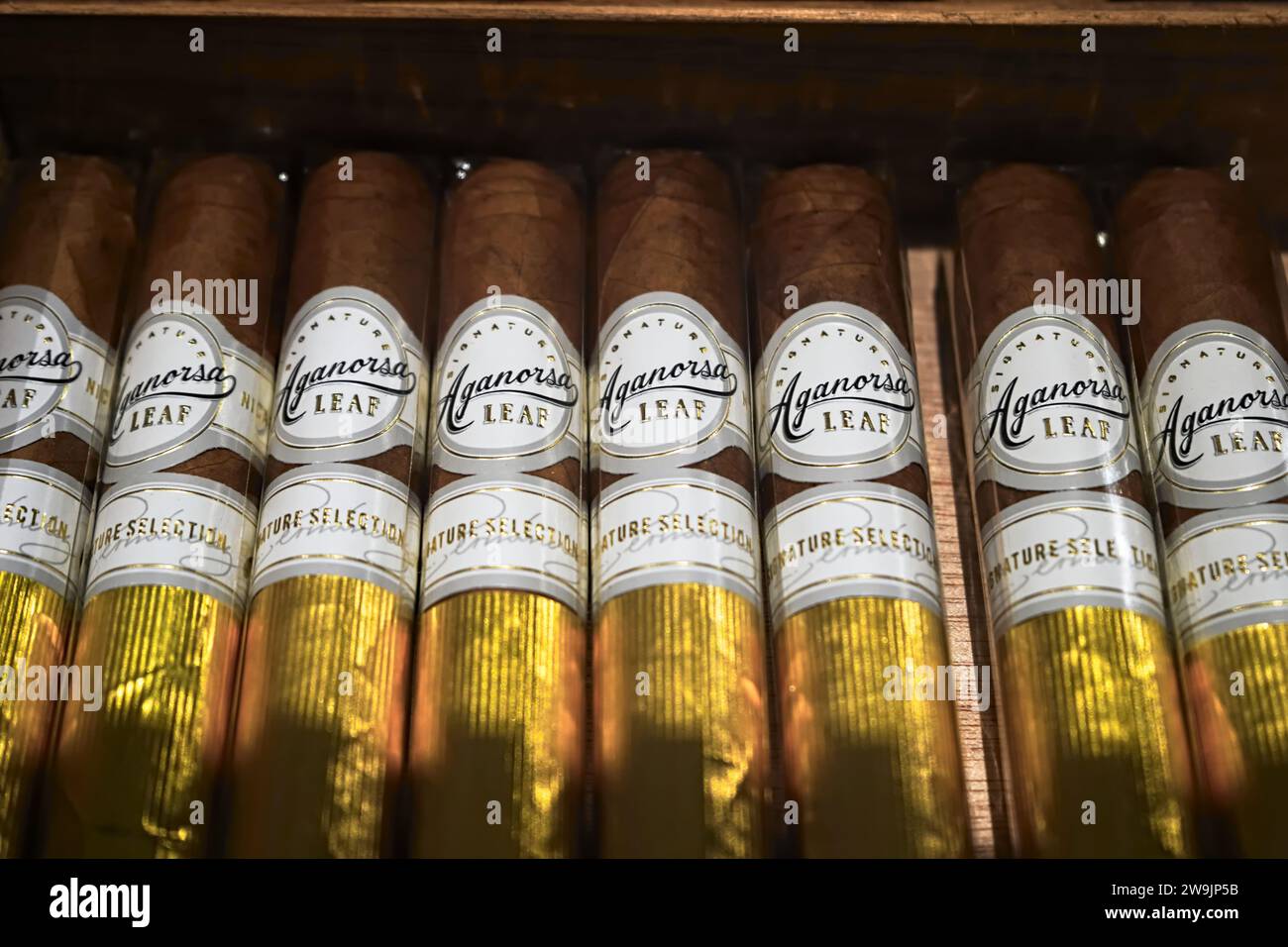 Honolulu, HI - Dec 24, 2023: Aganorsa Leaf Signature Selection premium imported Nicaraguan cigars with gold foil in humidor. Macro close-up Stock Photo