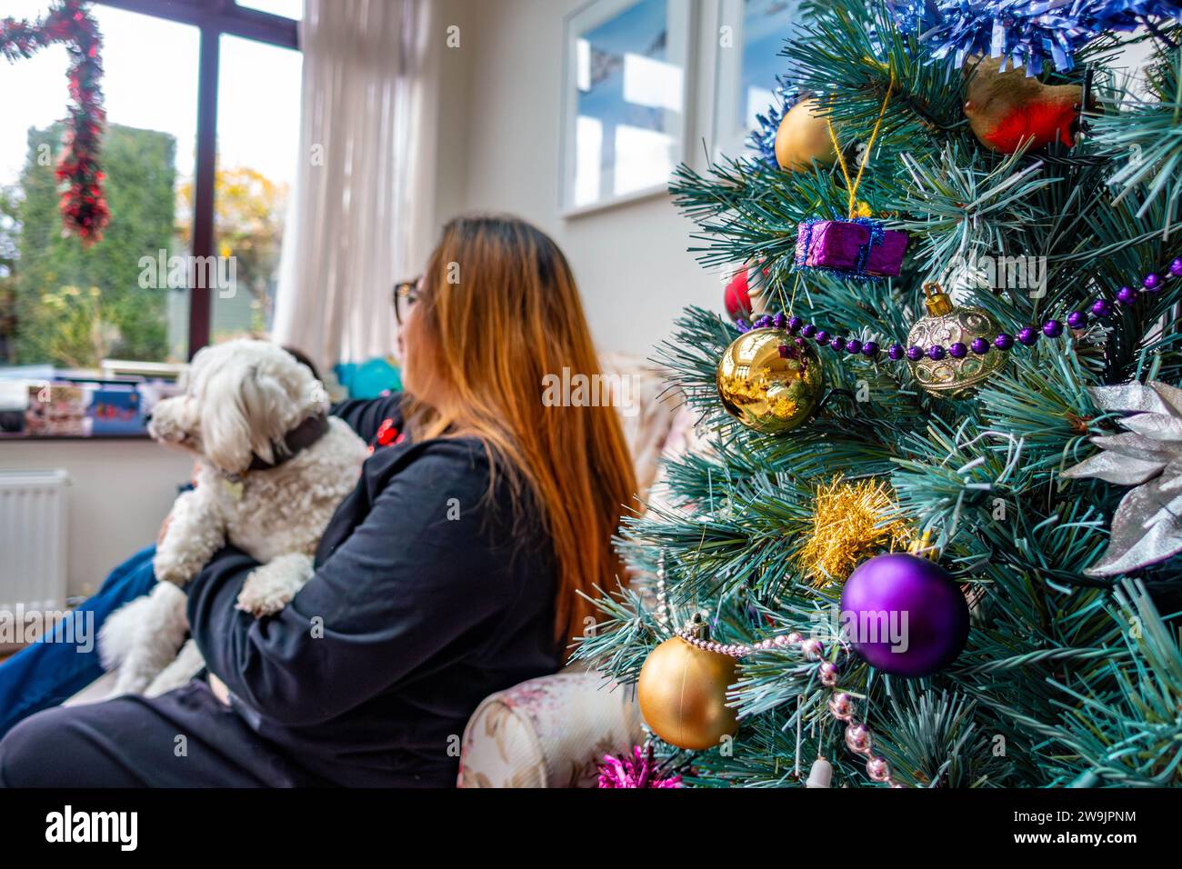 A Christmas tree decorated with coloutful baubles with a lady sat in the background Stock Photo