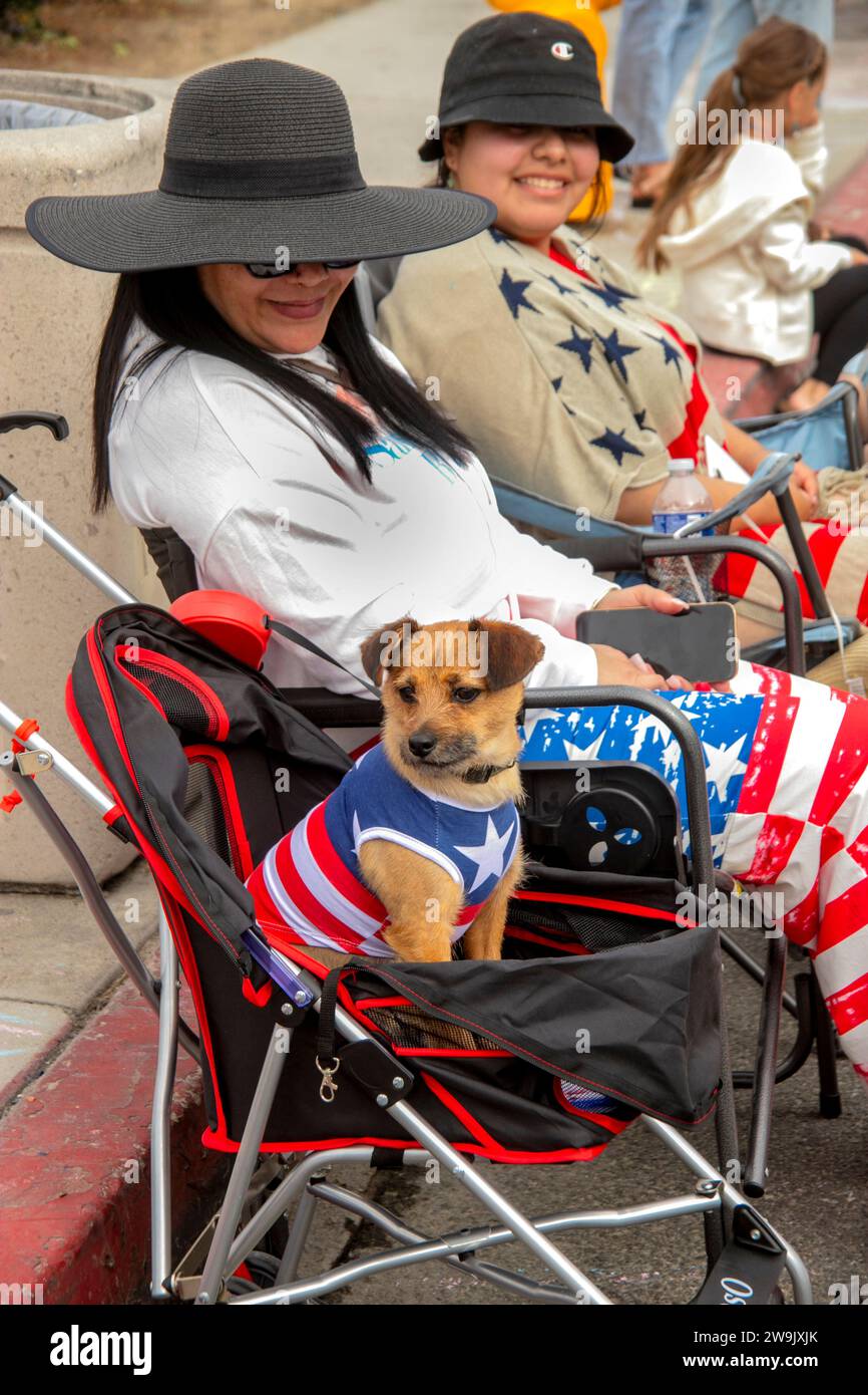 Sitting in a stroller and dressed in a stars-and-stripes costume, a patriotic dog waits for the beginning of a July Fourth parade in Huntington Beach, Stock Photo