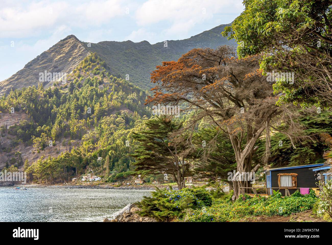 Coastal landscape at Cumberland Bay, Juan Fernandez, Chile, South
