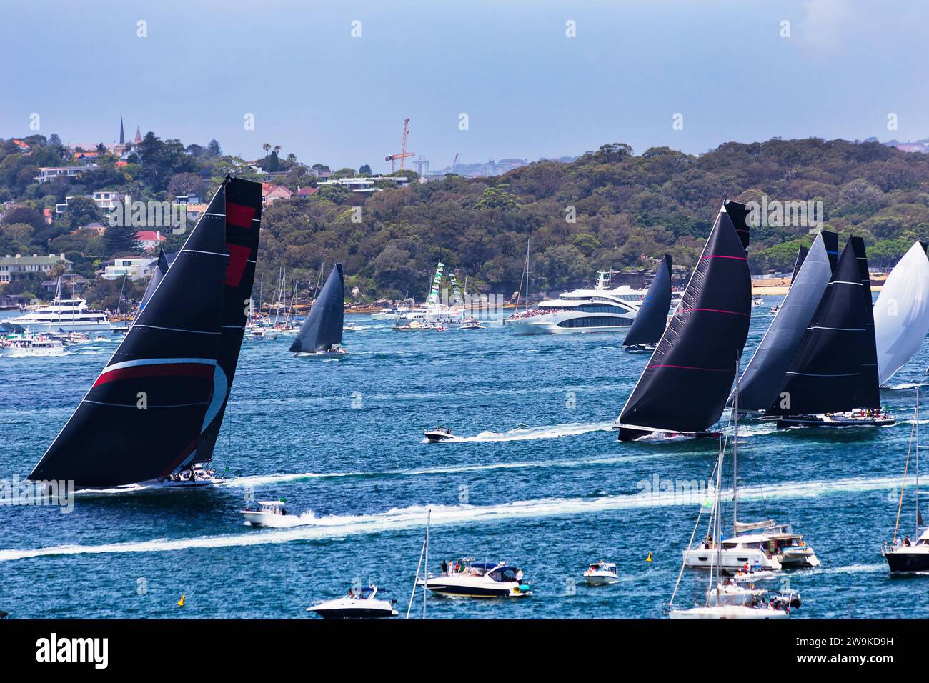 Maxi class sail yachts on Sydney harbour after start of Sydney Hobart