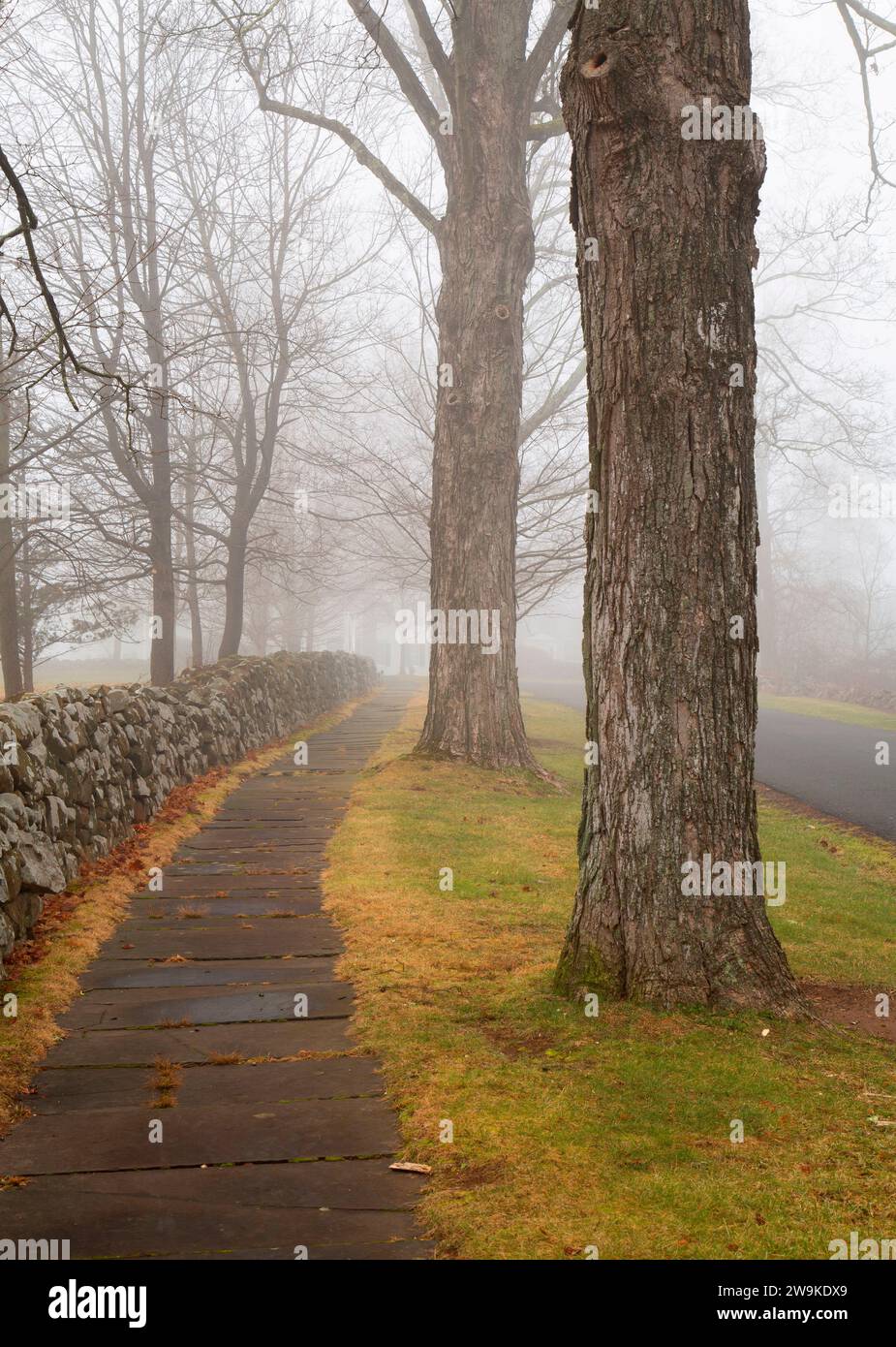 Slate sidewalk with rockwall, HillStead Museum, Farmington