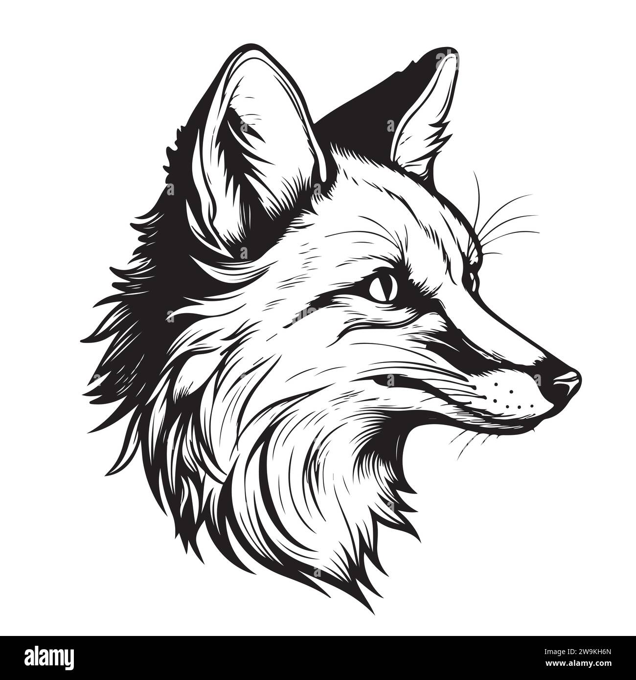 Fox. Graphic, sketch, black and white, hand-drawn portrait of a Fox