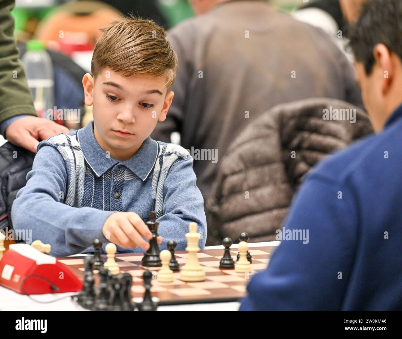 oleg cassini plus size