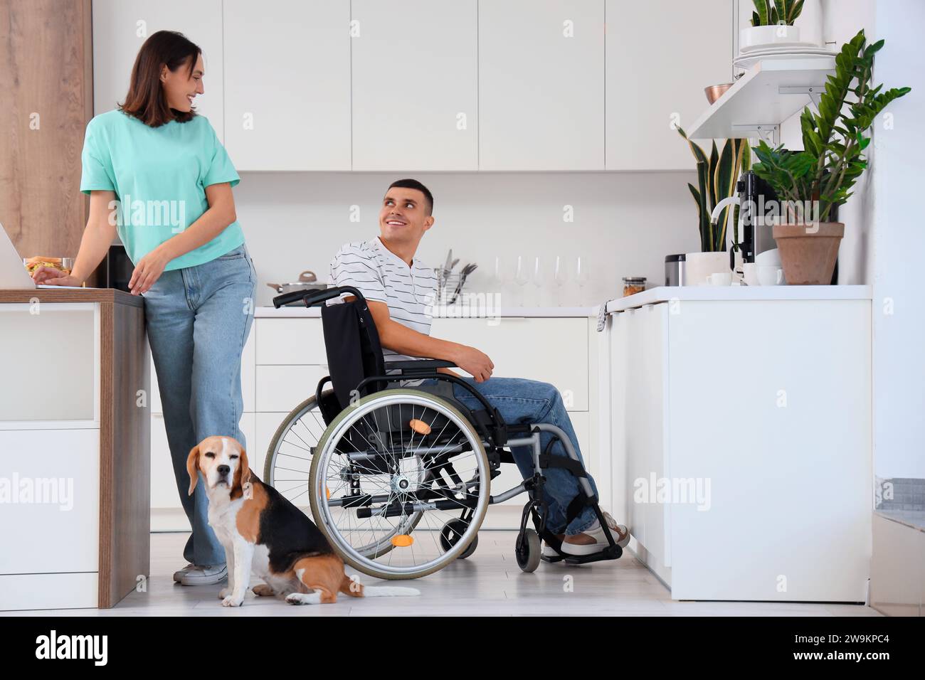 Young man in wheelchair and his wife with Beagle dog at home Stock Photo Alamy