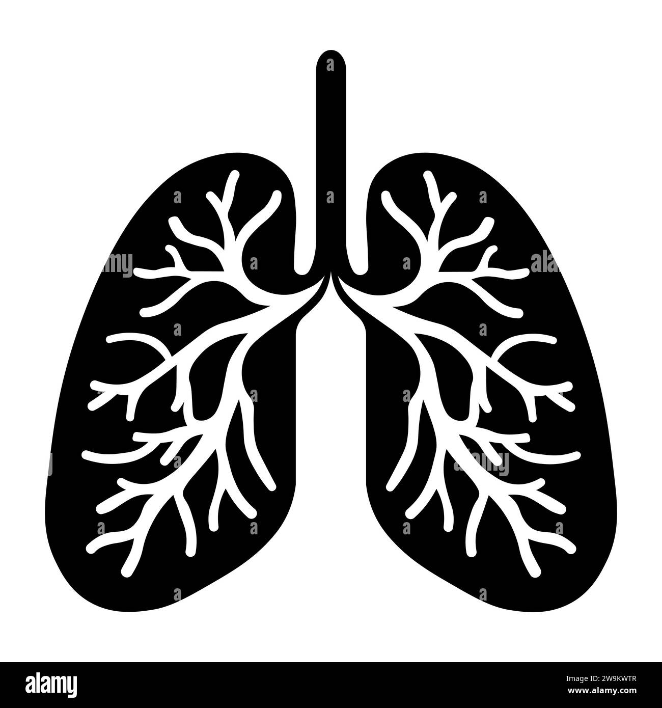 Human anatomy of the lungs Black and White Stock Photos & Images - Alamy