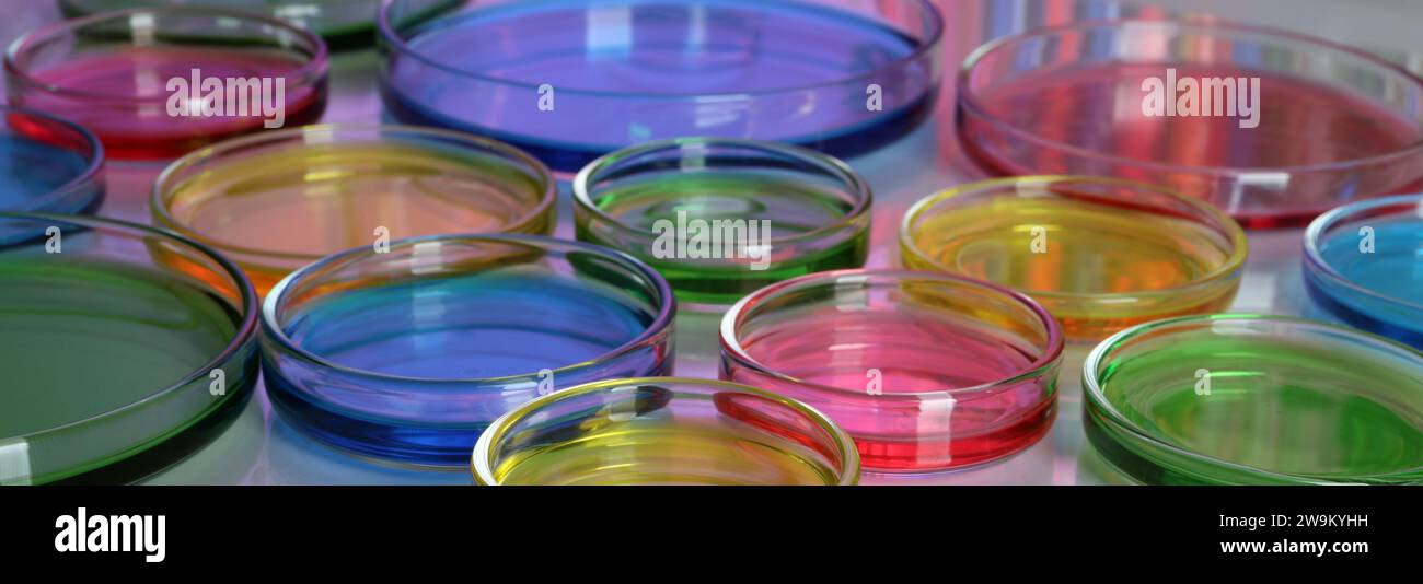 Laboratory analysis. Petri dishes with different colorful samples on ...
