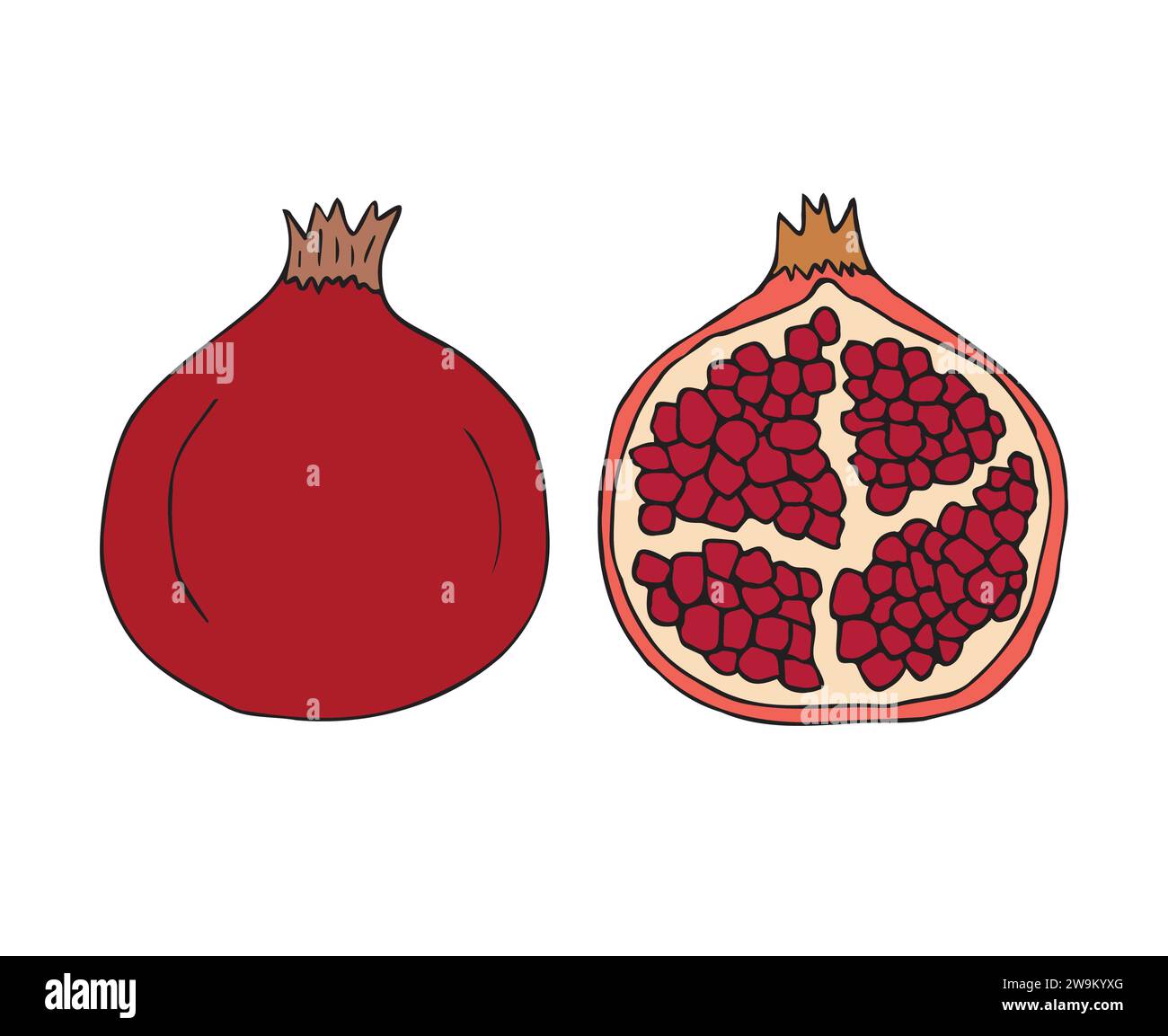 Vector hand drawn sketch doodle colored pomegranate isolated on white ...