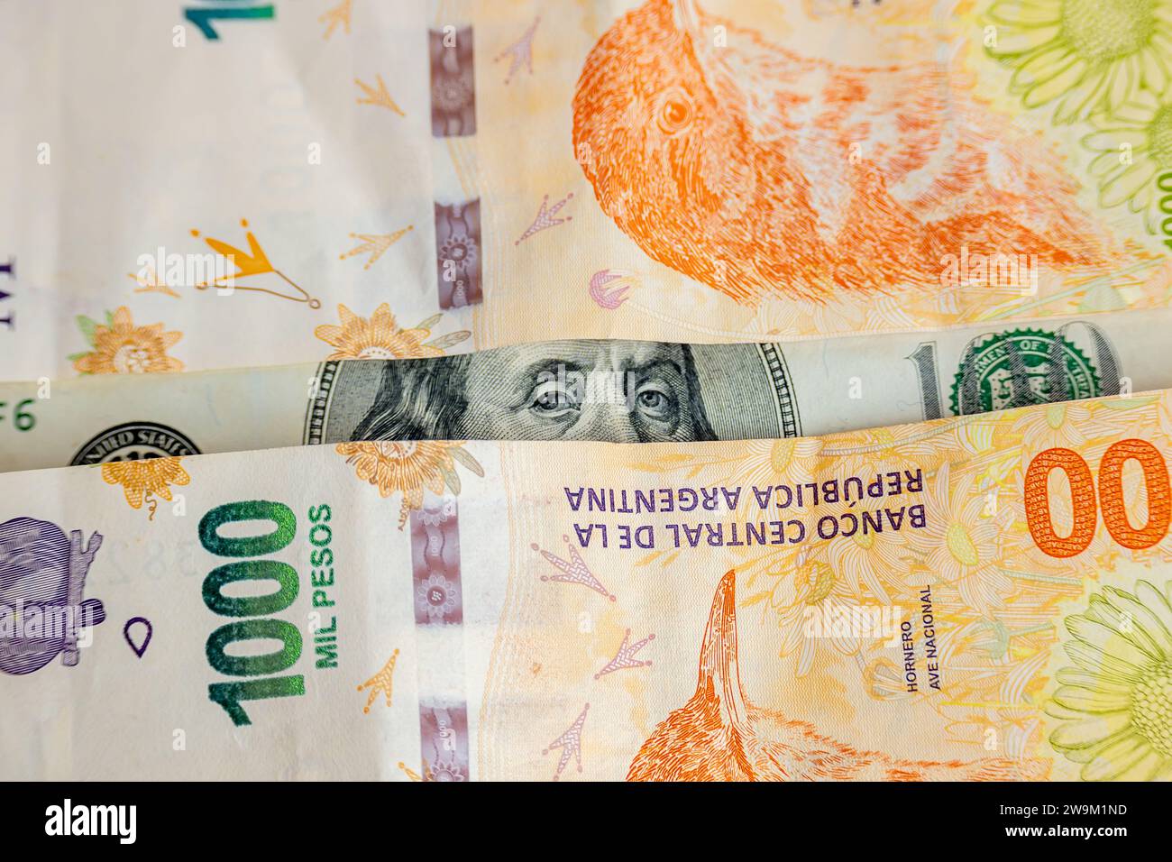One hundred dollar bill between two thousand Argentine peso bills. Concept of Argentine economy