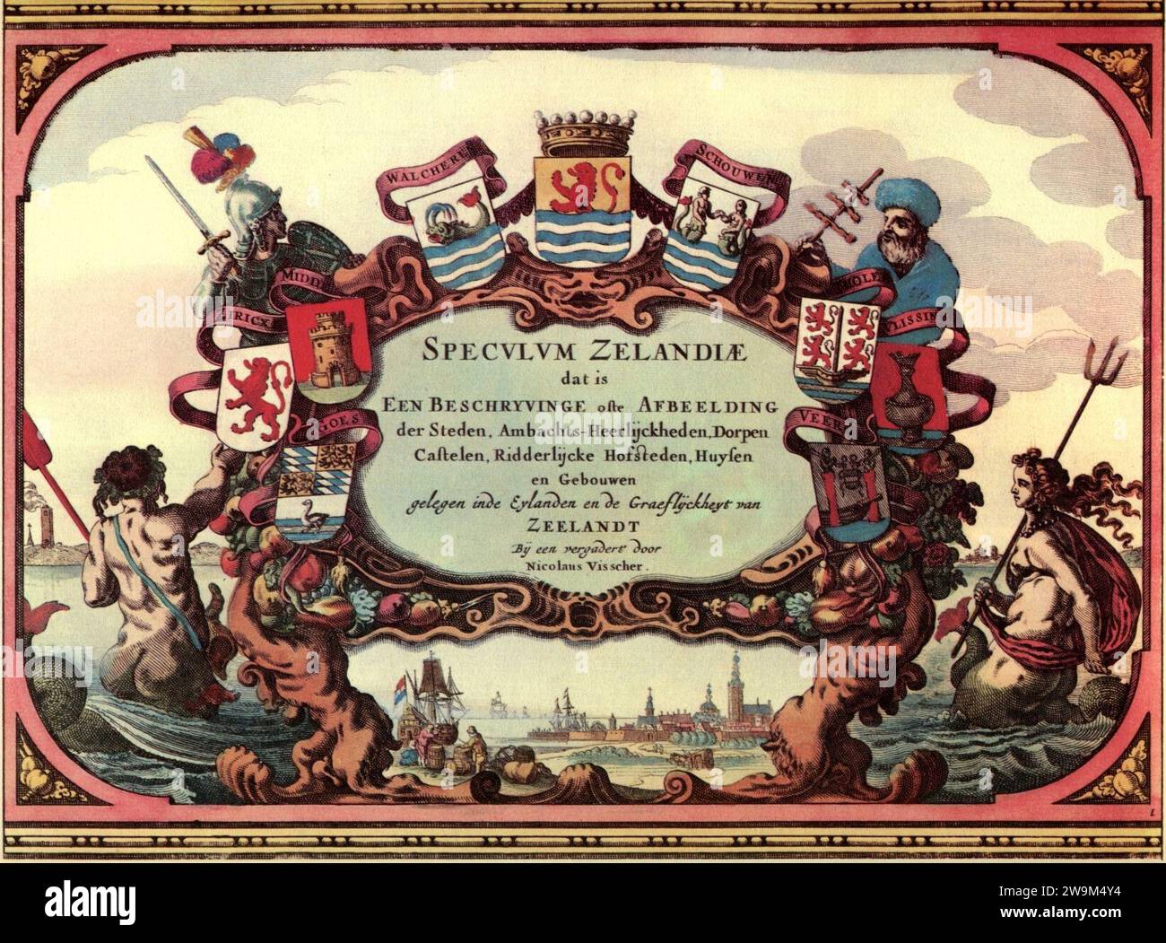 Speculum zelandiae hires stock photography and images Alamy