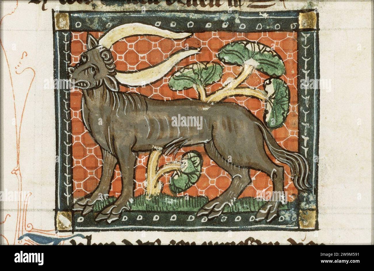 Zubro - Der naturen bloeme - Jacob van Maerlant - KB KA 16 - 073r b1 ...