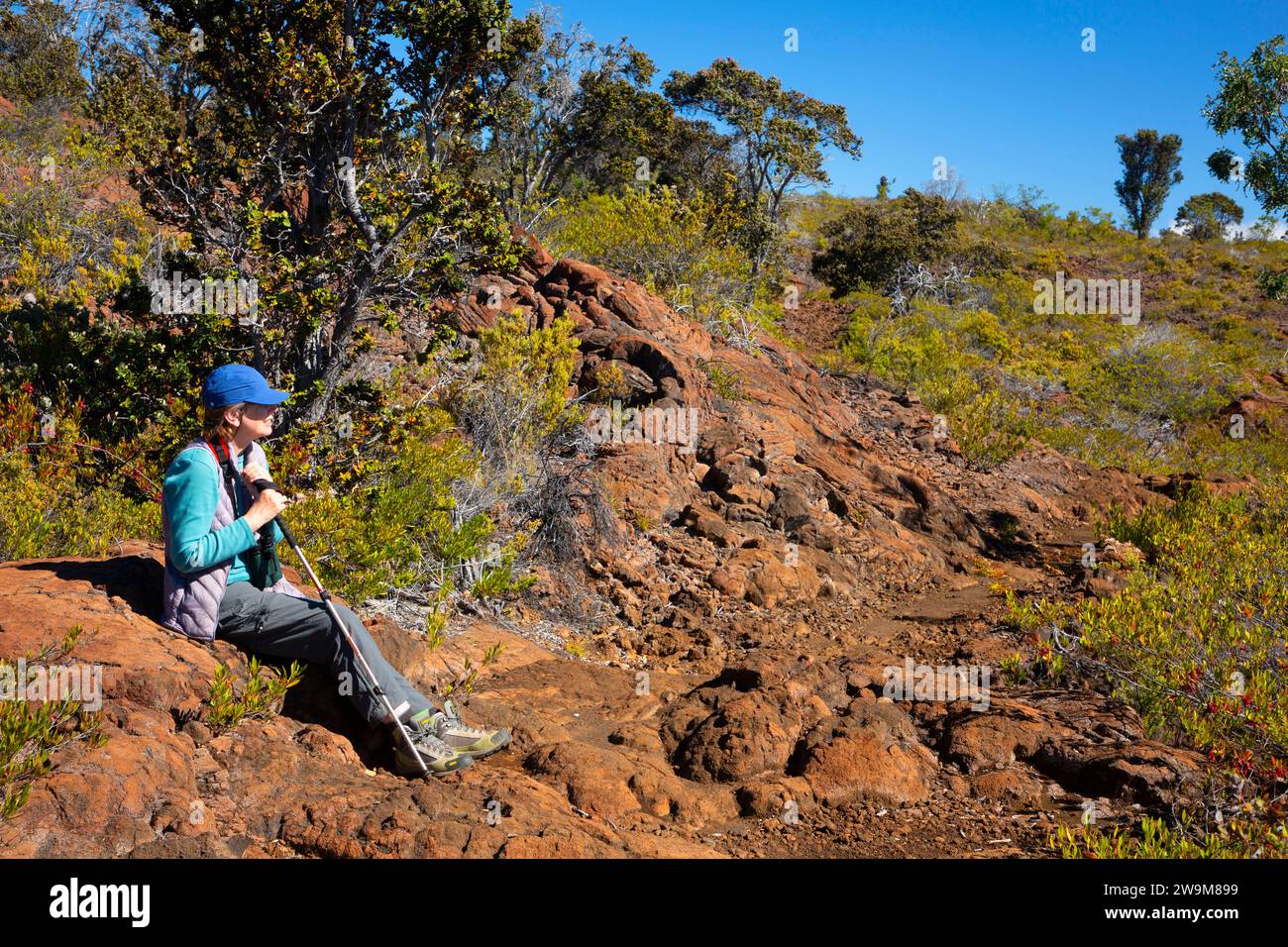 Mauna Loa Trail, Hawaii Volcanoes National Park, Hawaii Stock Photo Alamy