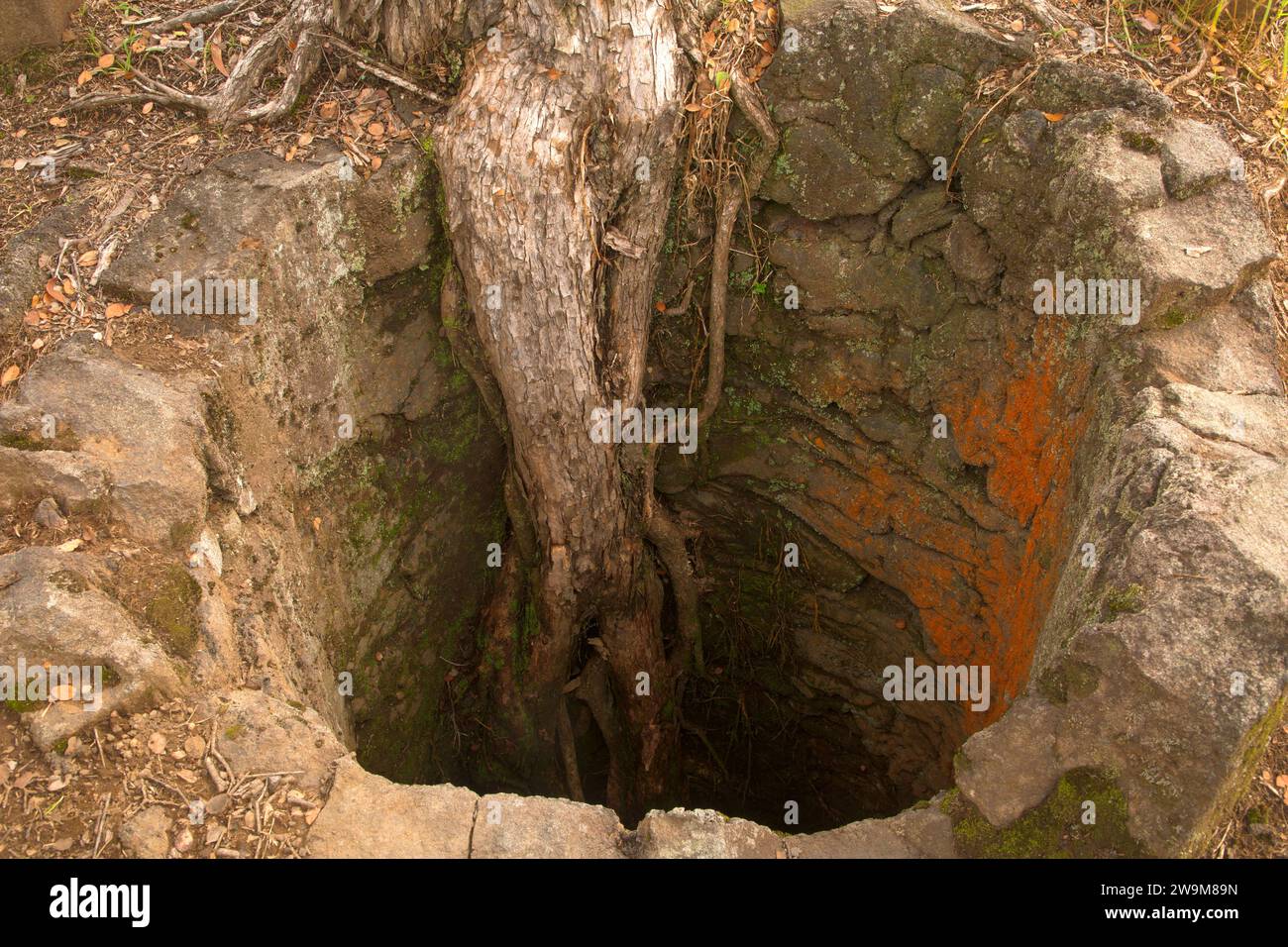 Tree mold, Hawaii Volcanoes National Park, Hawaii Stock Photo Alamy