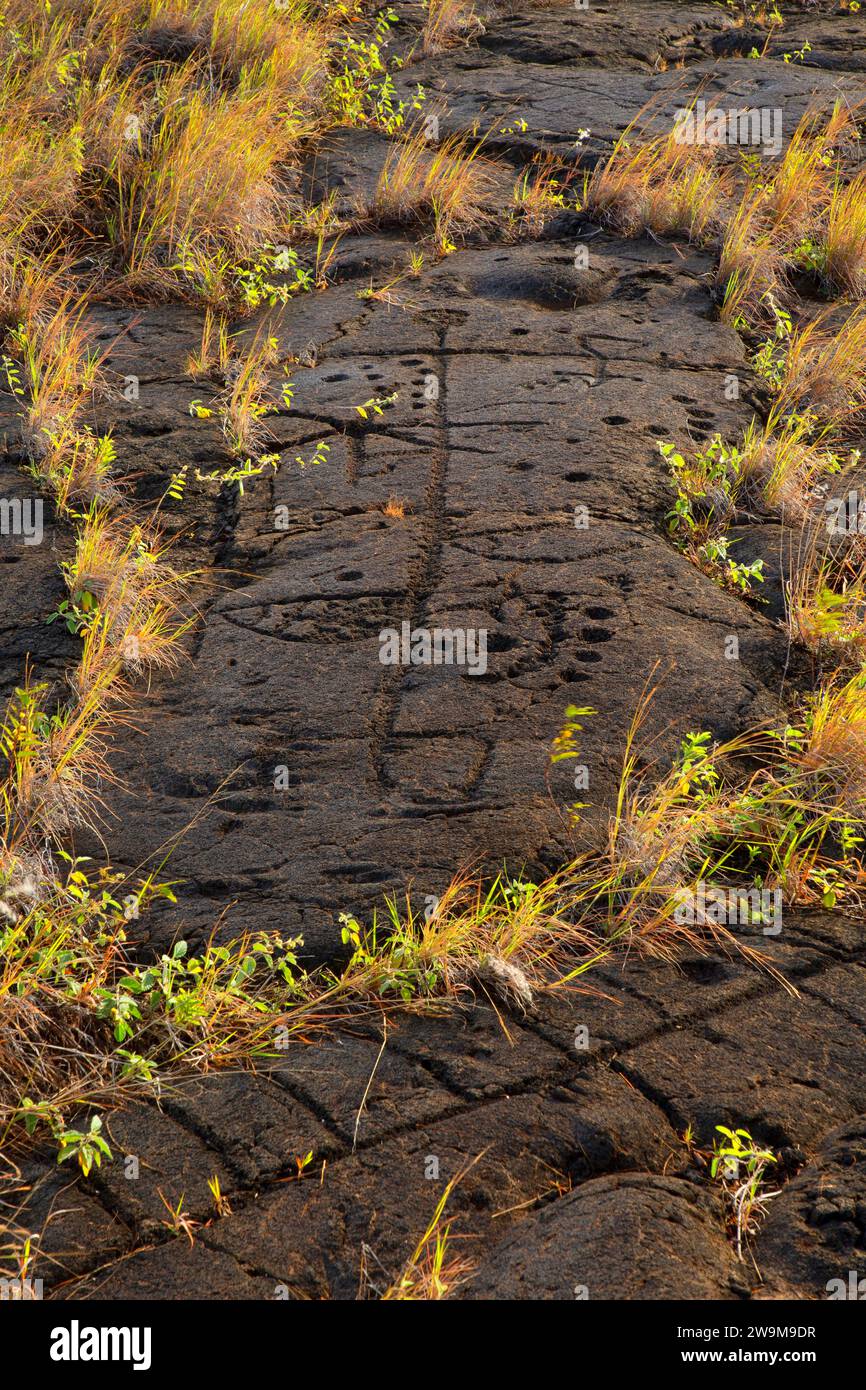Puuloa Petroglyphs, Hawaii Volcanoes National Park, Hawaii Stock Photo