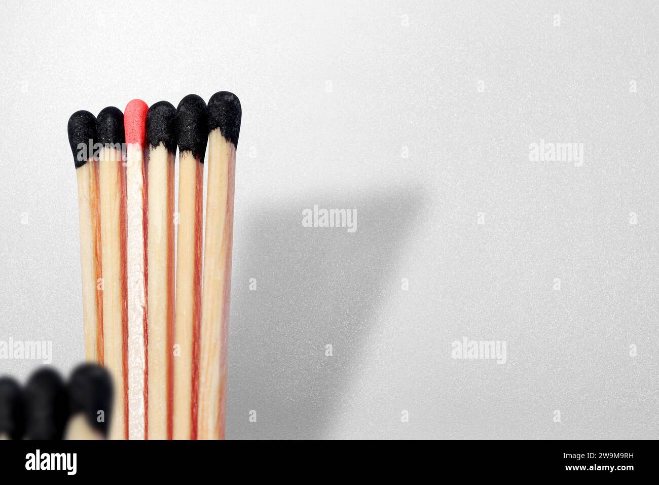 Close Up One New Wooden Match Stick Standing Among Burnt Matches