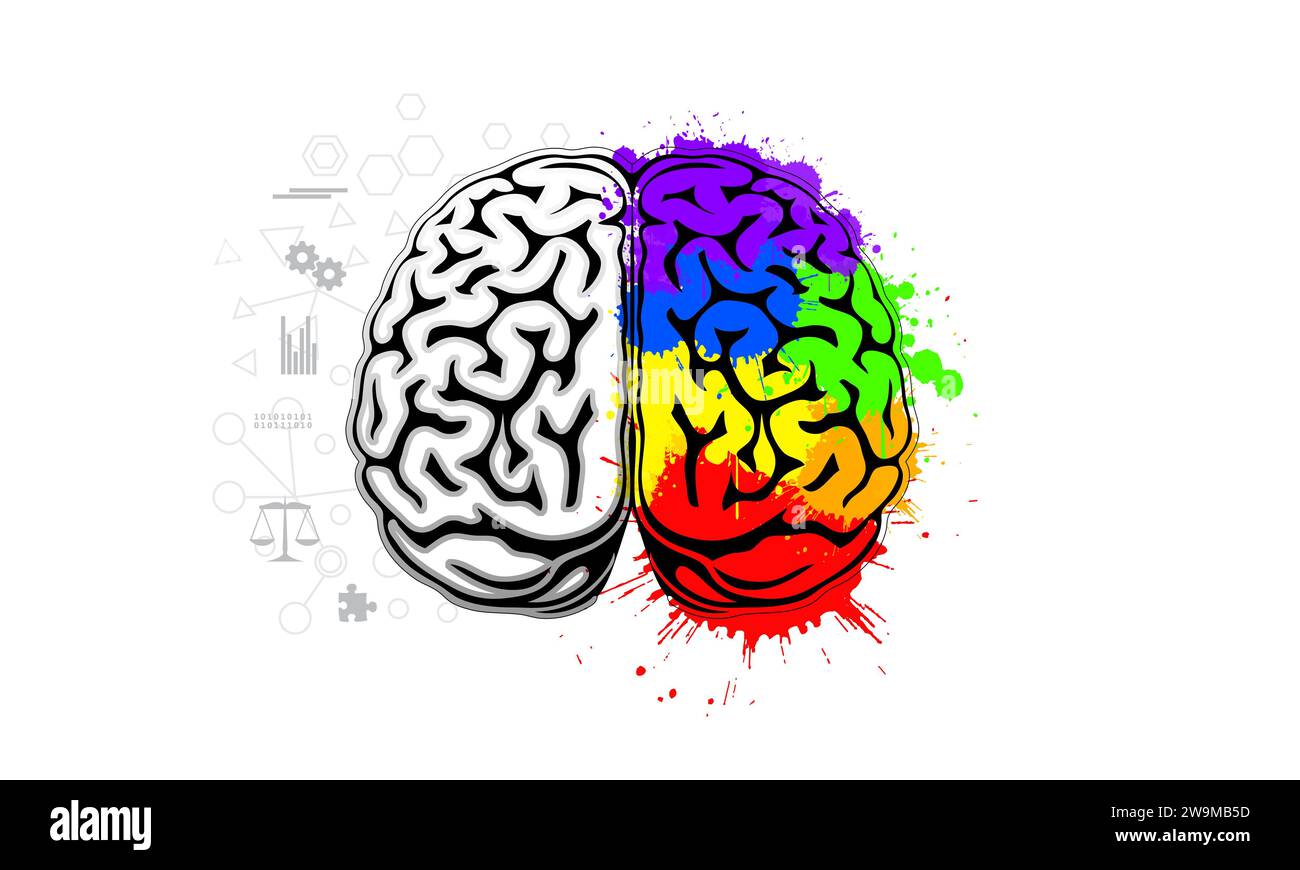 Human brain illustration for depicting creativity and logic concept Stock Photo