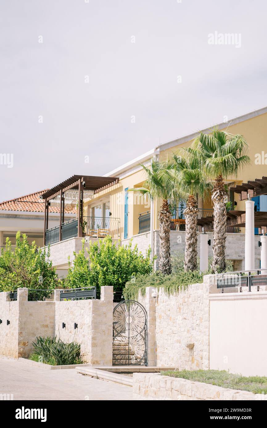 Palm trees and green bushes grow in the courtyard of a mansion behind a ...