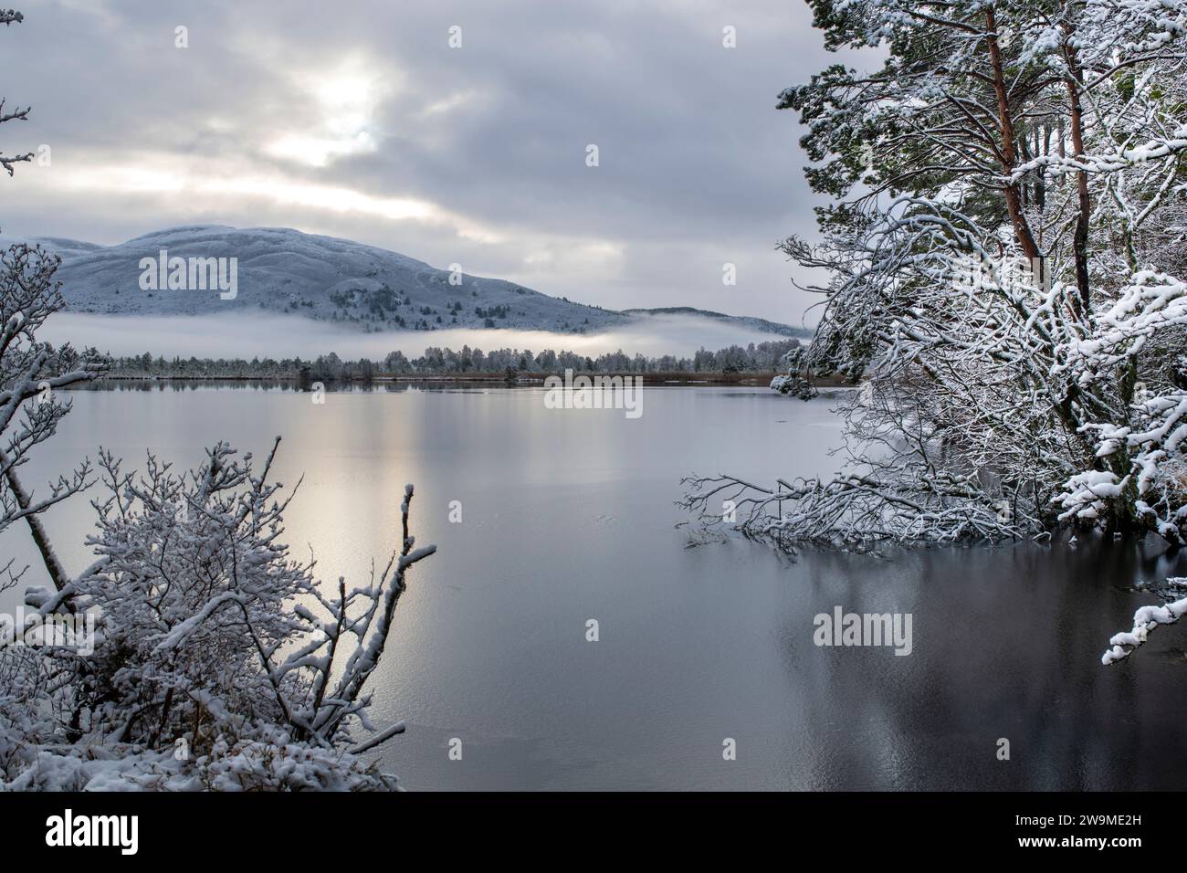 Loch Mallachie in the snow, mist and ice, Highlands, Scotland Stock Photo
