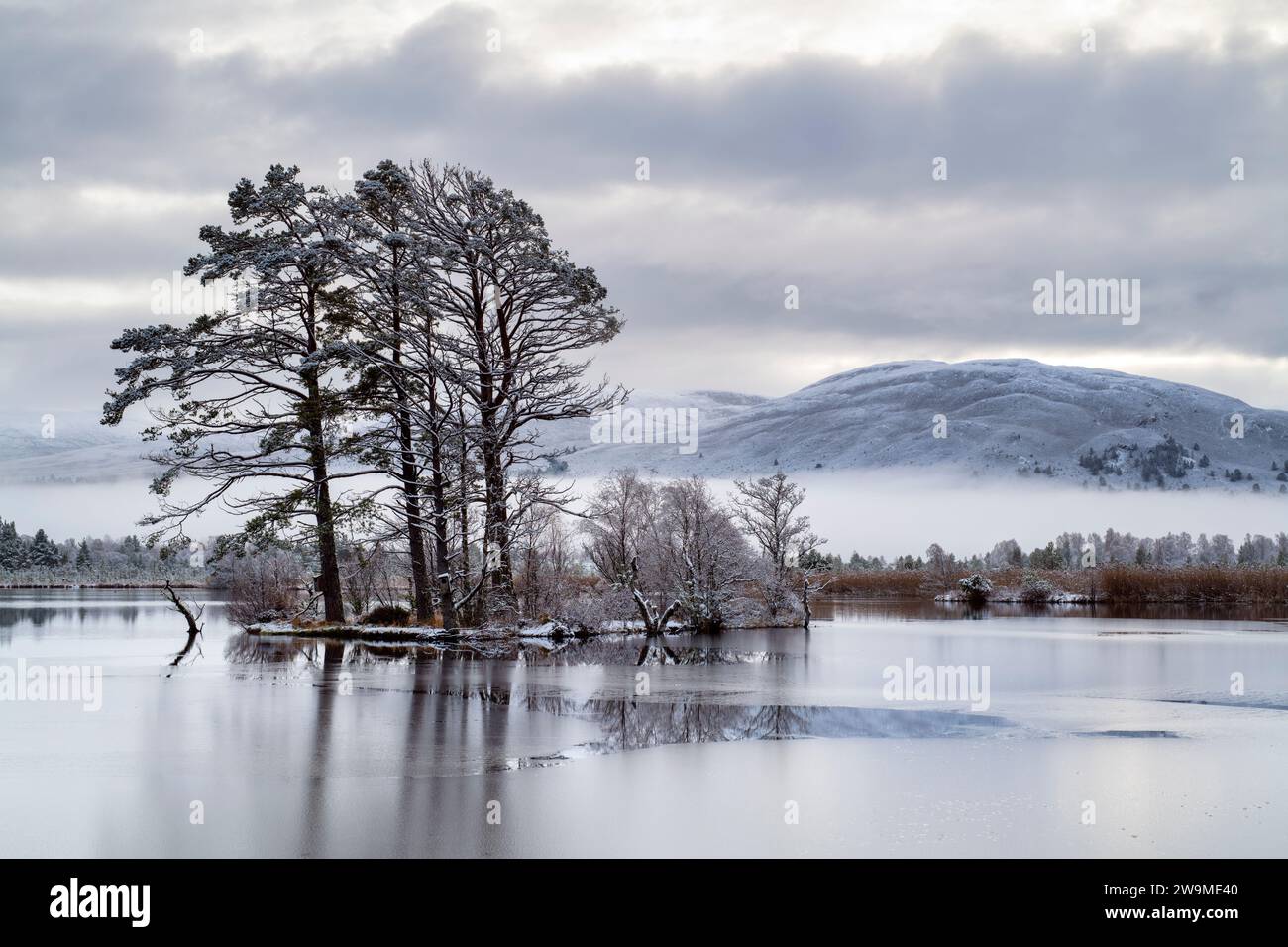 Loch Mallachie island in the snow, mist and ice, Highlands, Scotland Stock Photo