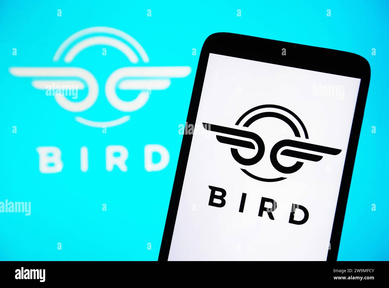 Ukraine. 29th Dec, 2023. In this photo illustration, Bird Global logo ...