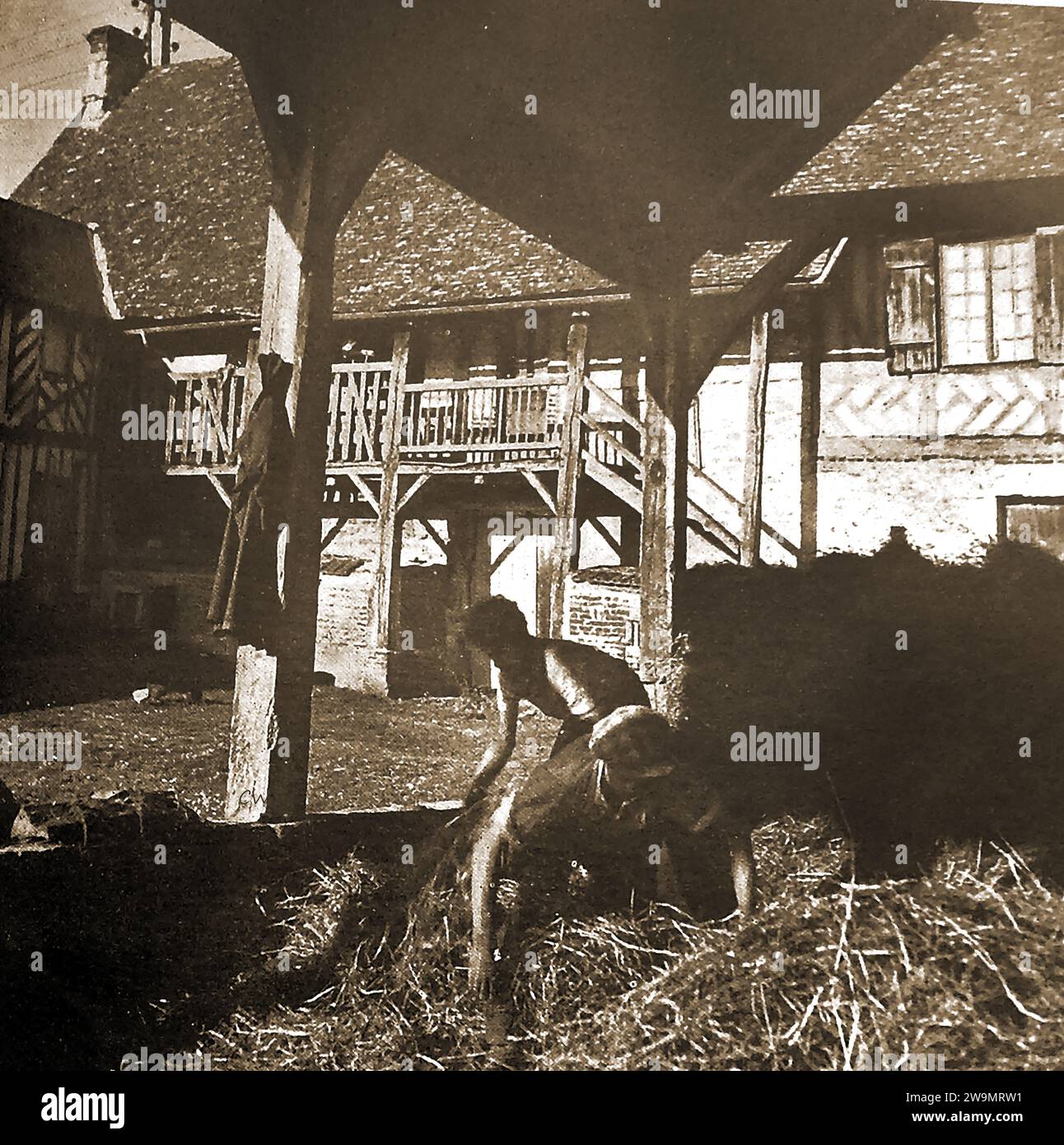 Maison campagne potager normandie - Photo vintage snapshot c. 1965