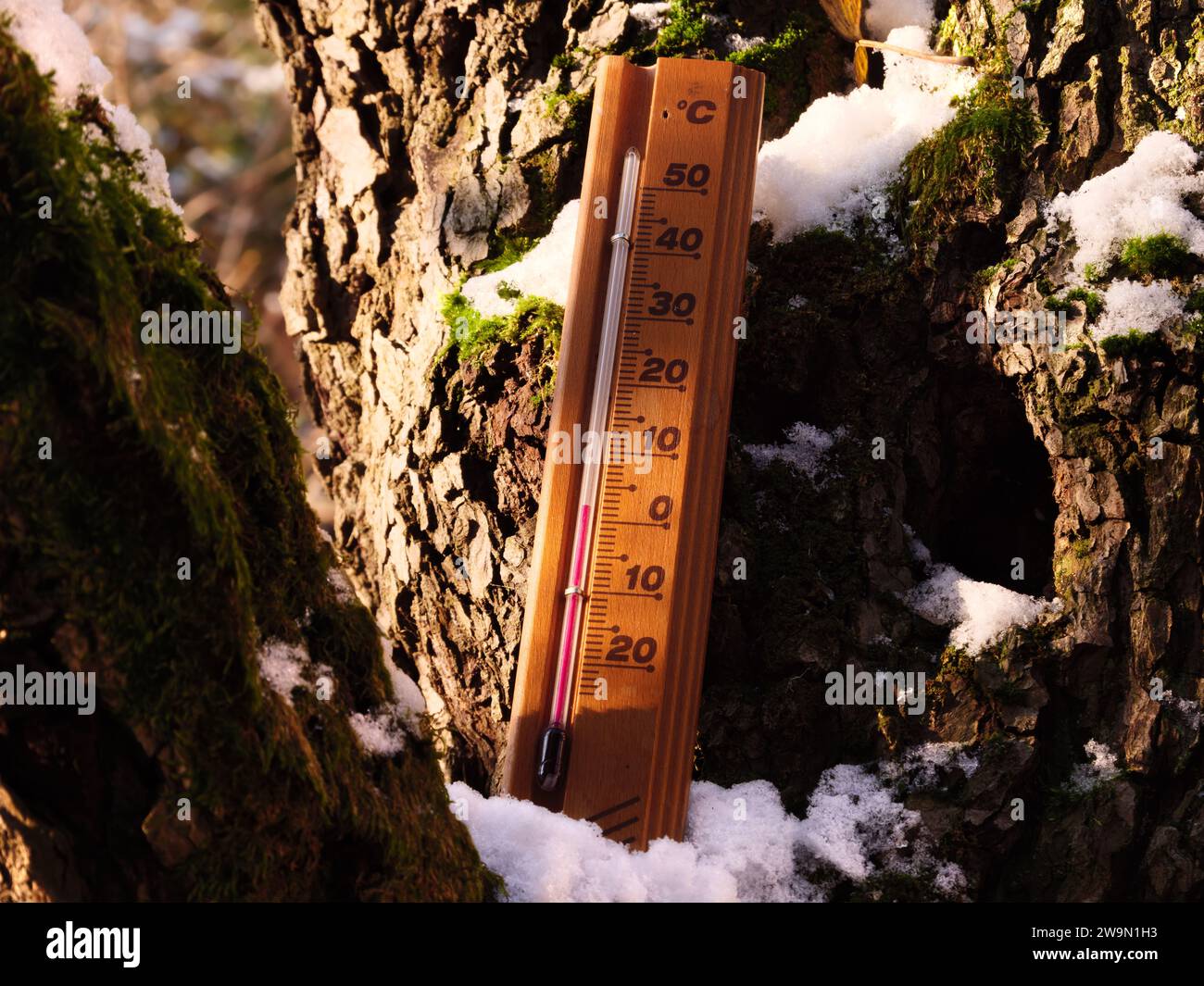 A meteorology thermometer show 0 degrees Celsius low cold temperature