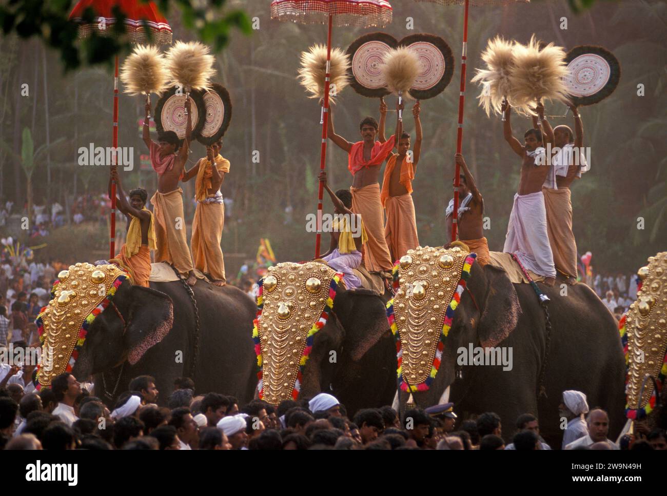 Elephant culture of India Stock Photo - Alamy