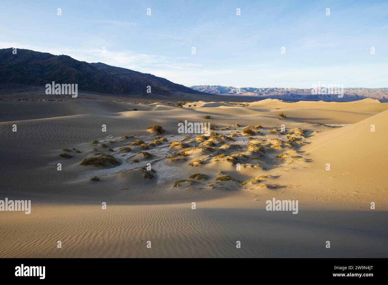 Looking out over the Mesquite Flat Sand Dunes in Death Valley National Park, CA. Stock Photo