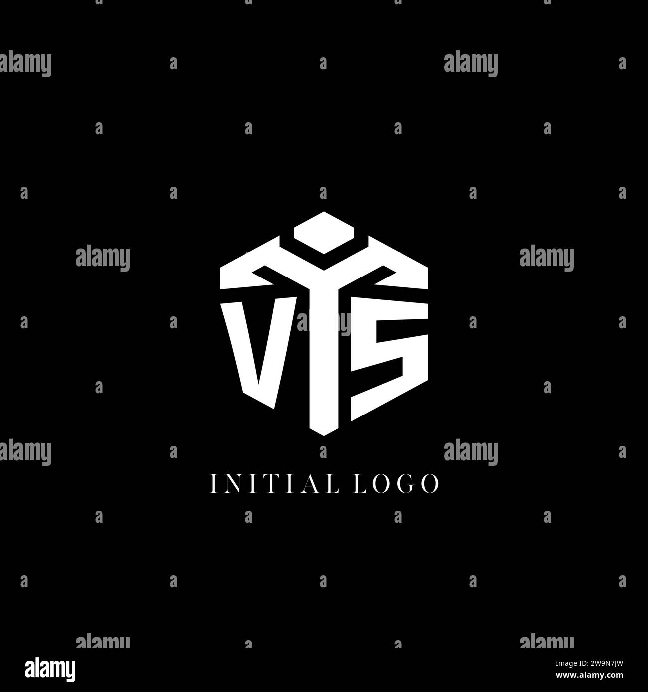 Initial VS logo hexagon shape geometric style vector graphic Stock Vector