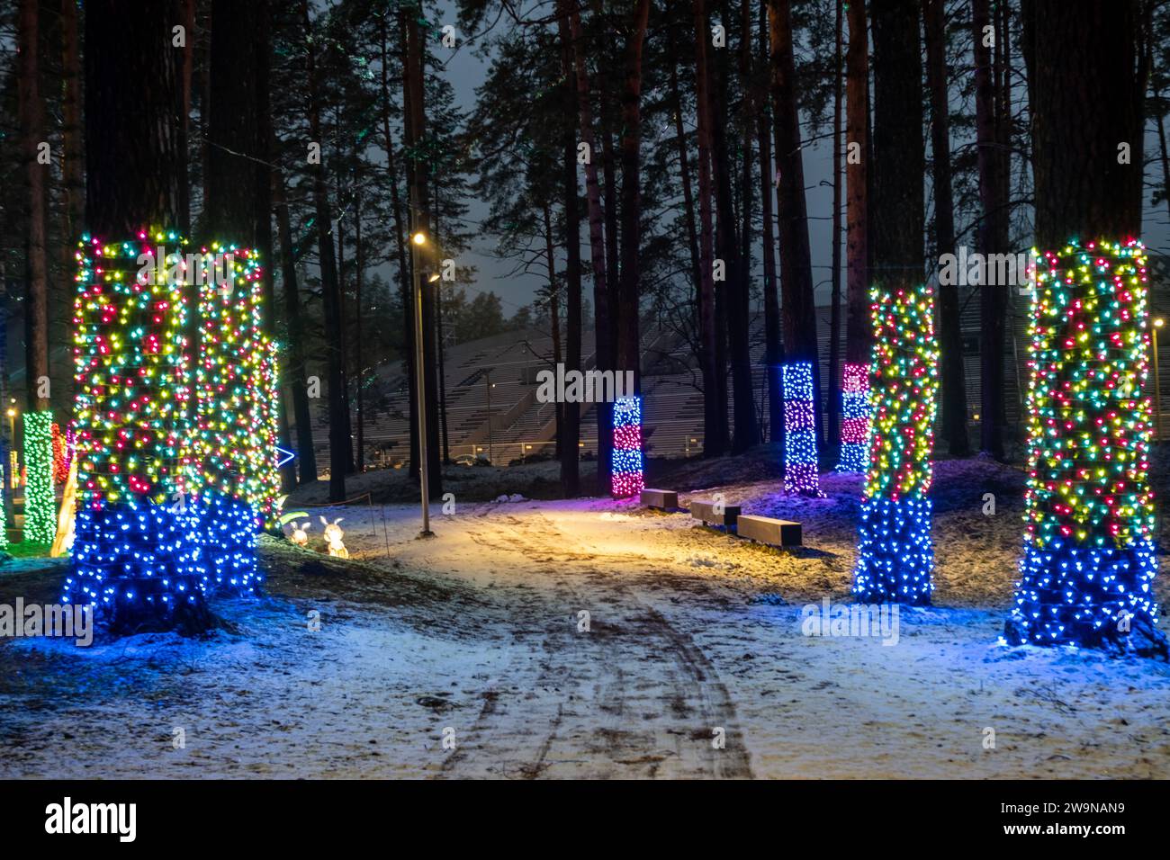 Follow the twinkling trail through frosted woods, where Christmas lights weave magic into nature 