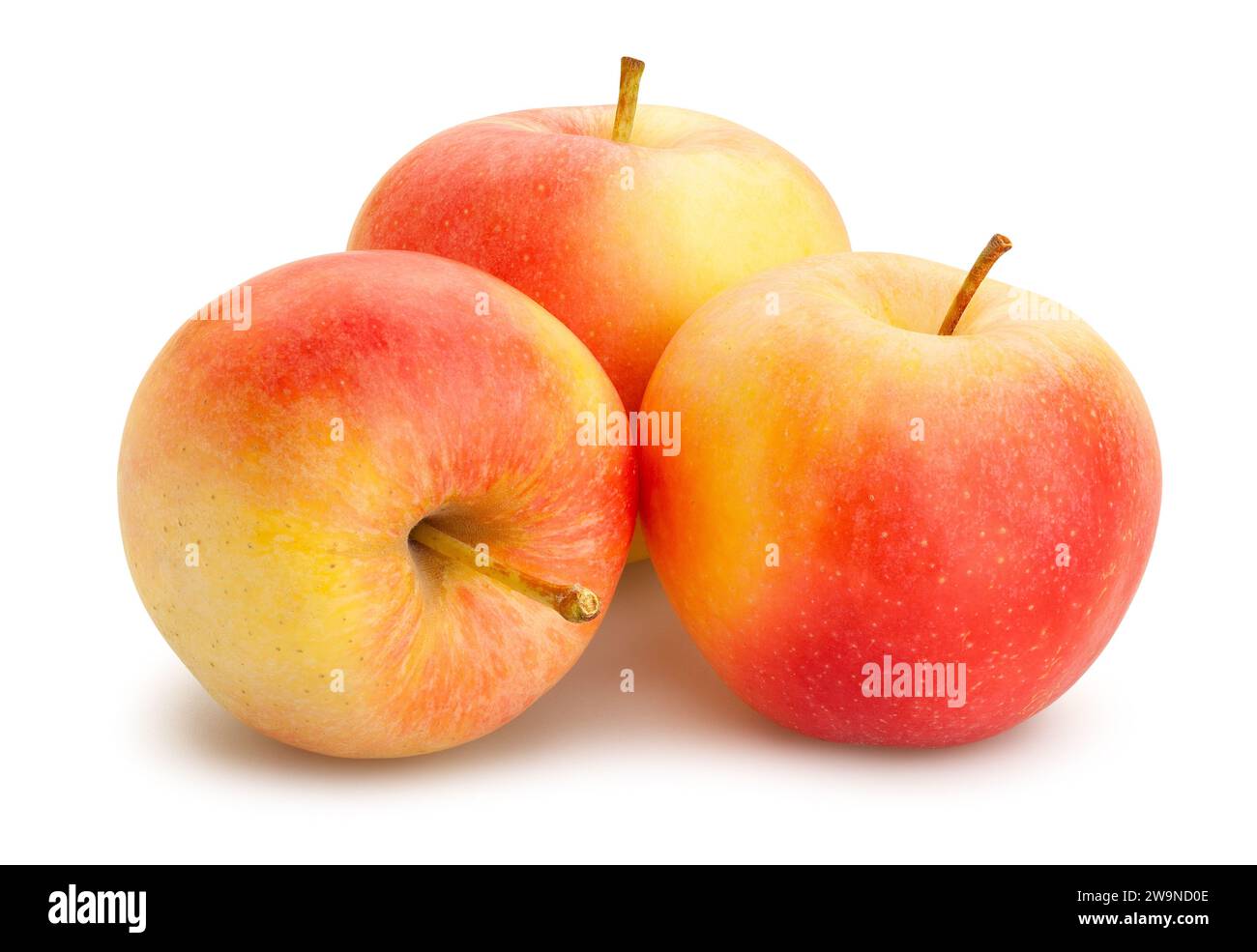 colorful apple path isolated on white Stock Photo