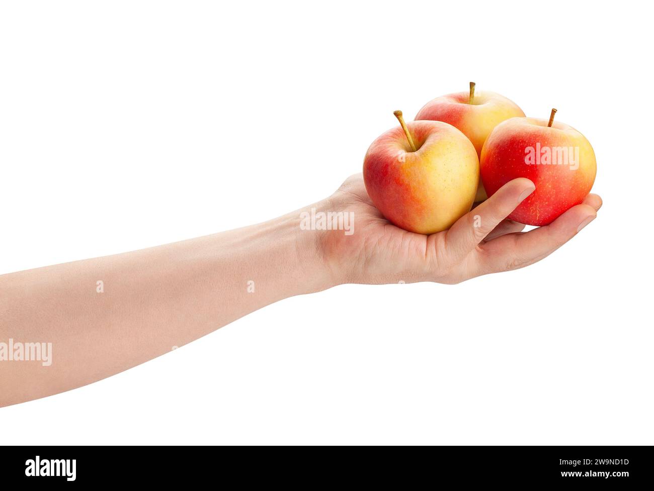 apples in hand path isolated on white Stock Photo