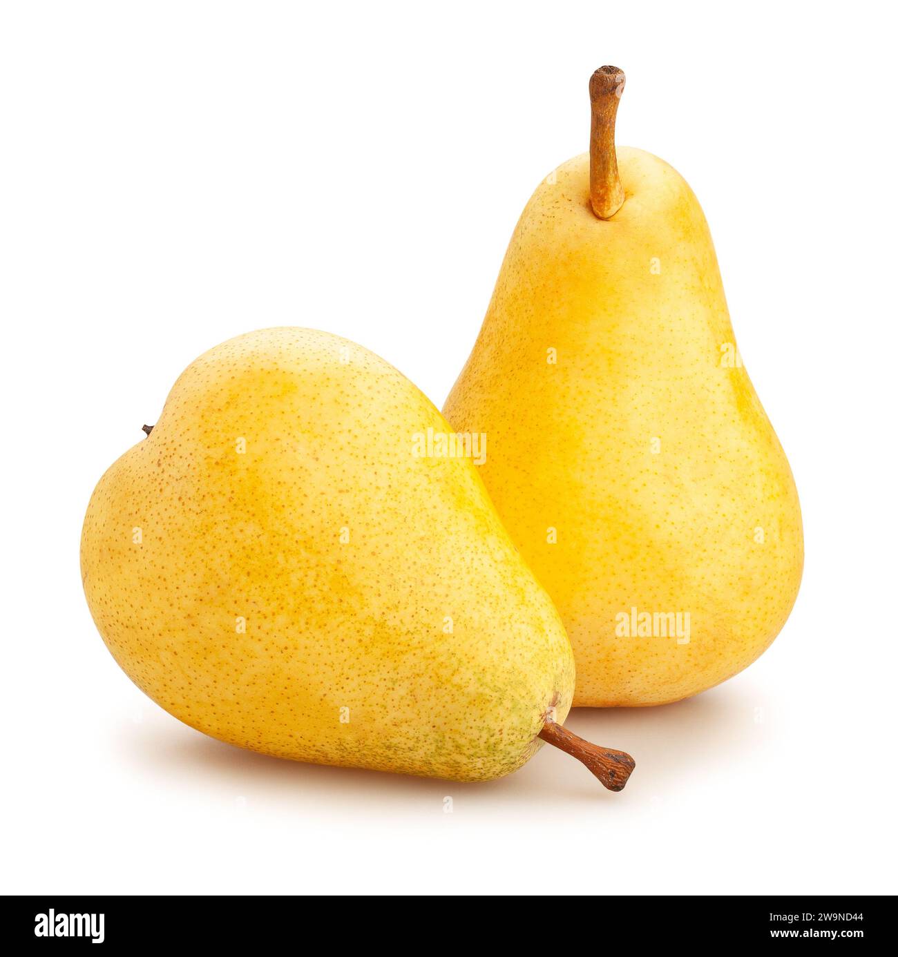 yellow pear path isolated on white Stock Photo