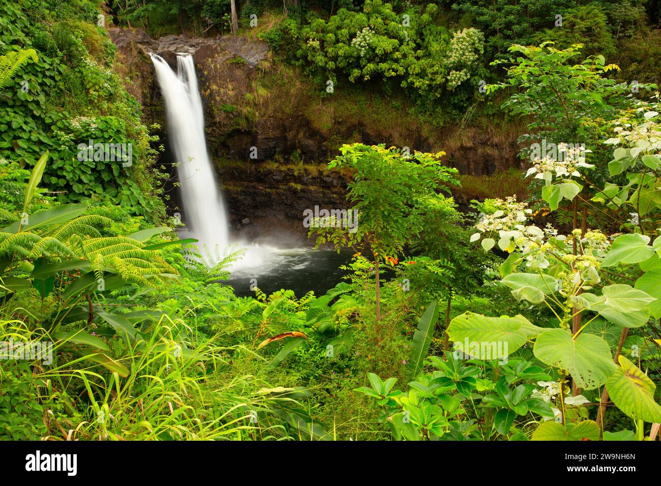 Rainbow Falls, Wailuku River State Park, Hilo, Hawaii Stock Photo