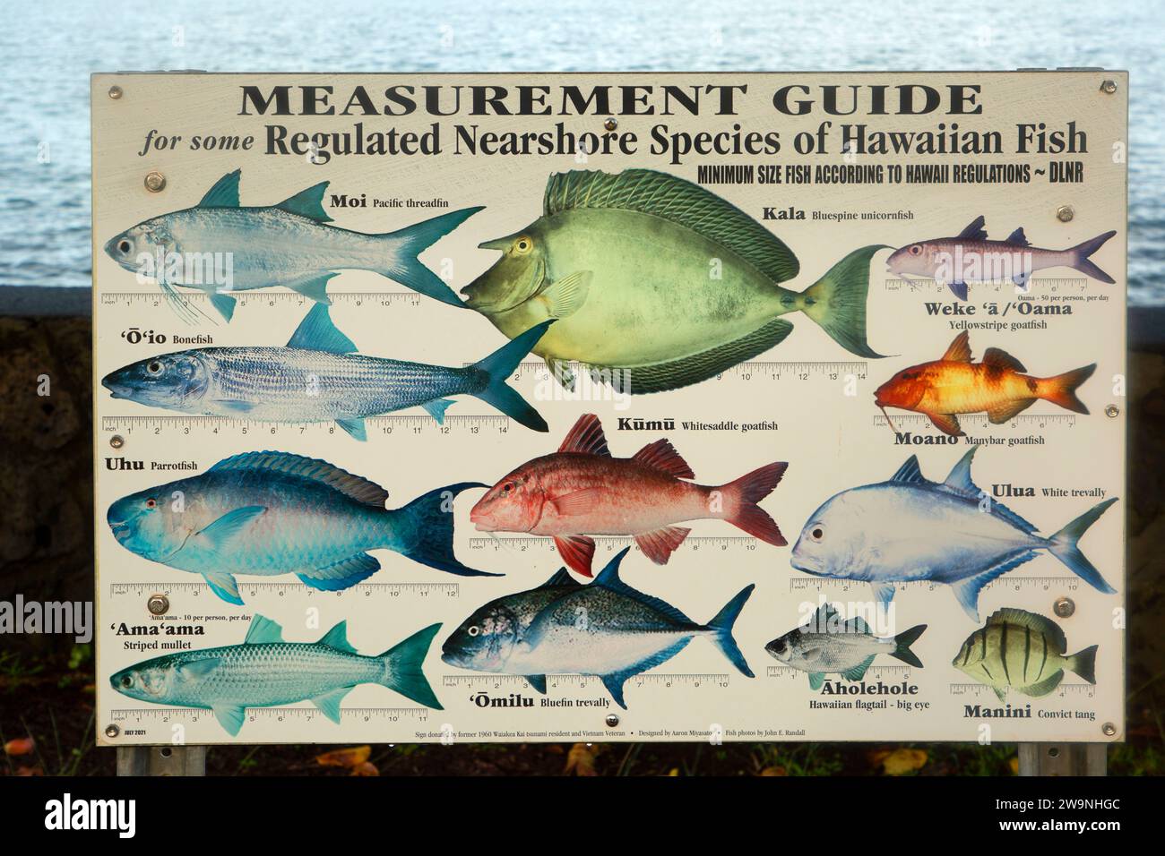 Fishing guide board, Liliuokalani Gardens Park, Hilo, Hawaii Stock Photo