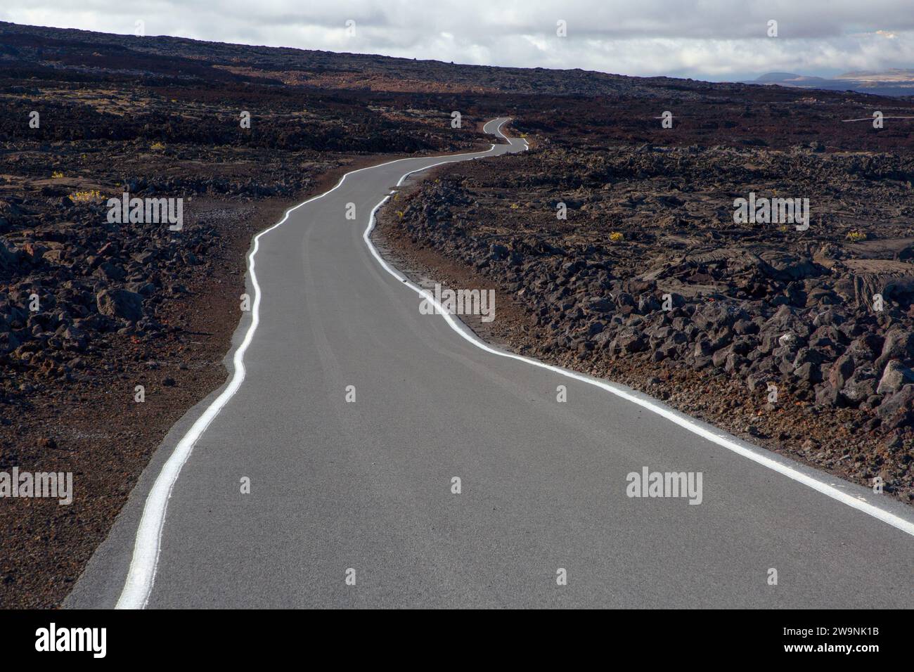 Mauna Loa Observatory Road with Mauna Kea, Mauna Loa Forest Reserve