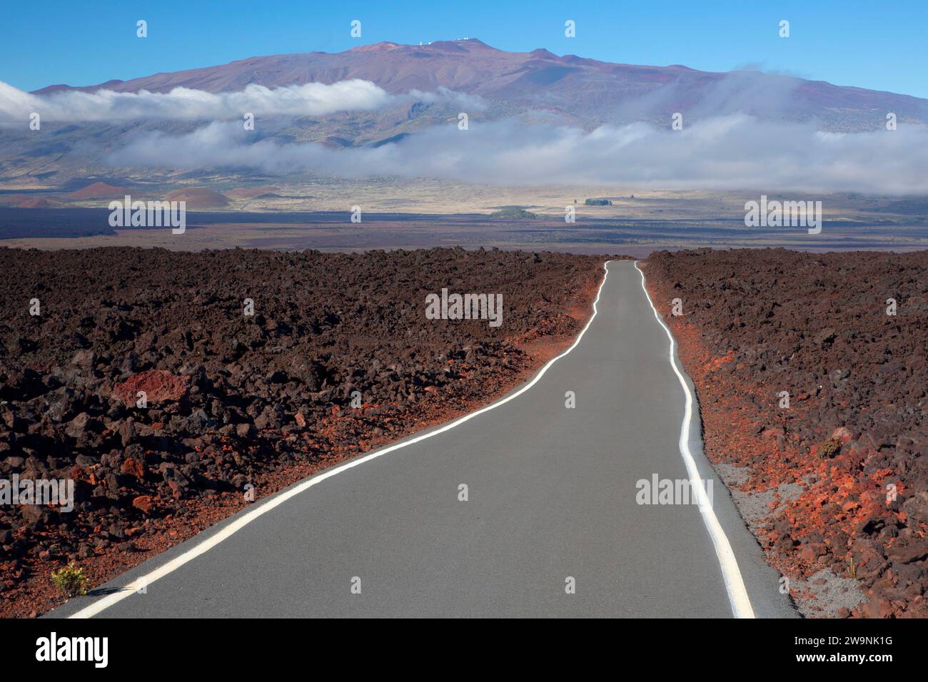 Mauna Loa Observatory Road with Mauna Kea, Mauna Loa Forest Reserve