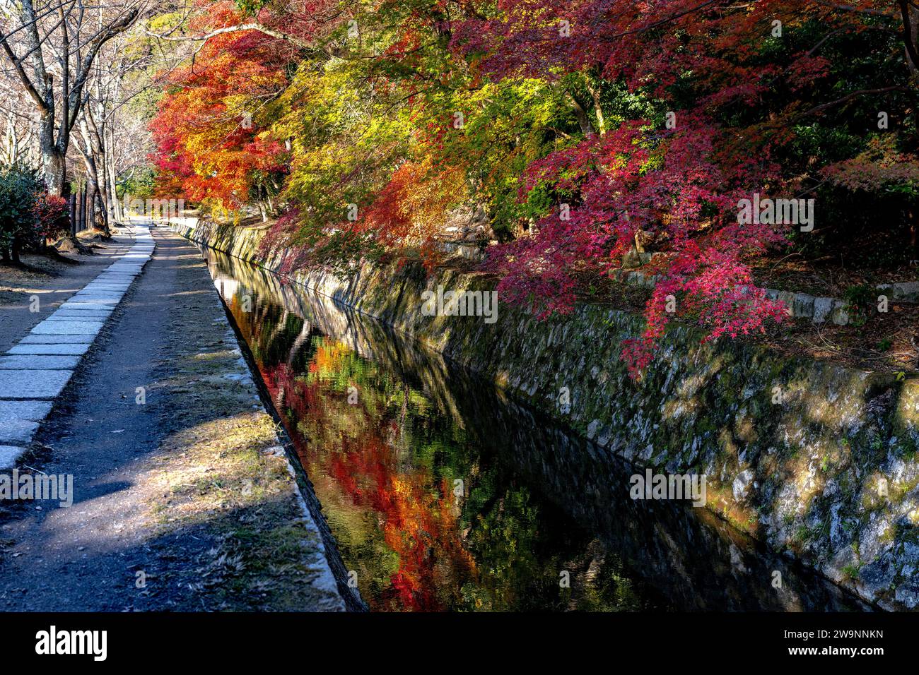 Philosopher's Walk during autumn in Kyoto. Japan Stock Photo