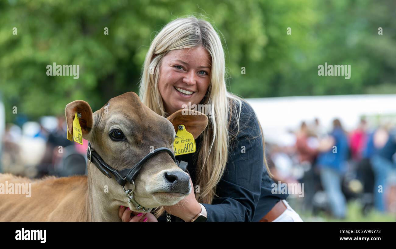 Showing cattle at the Three Counties Show, Malvern, 2023. Stock Photo