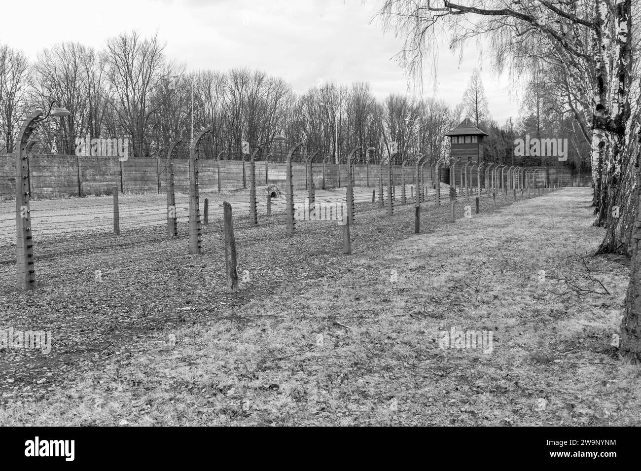 Perimeter fences and barriers with watch tower and electrified fencing at Auschwitz concentration camp Stock Photo
