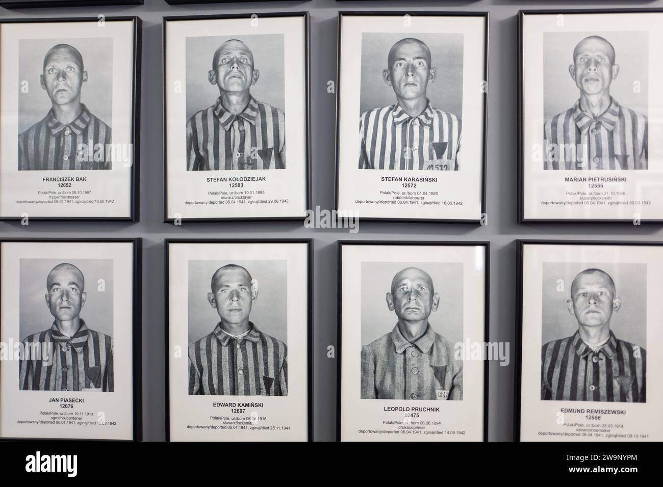 Images of interns killed whilst in the concentration camps at Auschwitz and Birkenau concentration camps, Poland Stock Photo