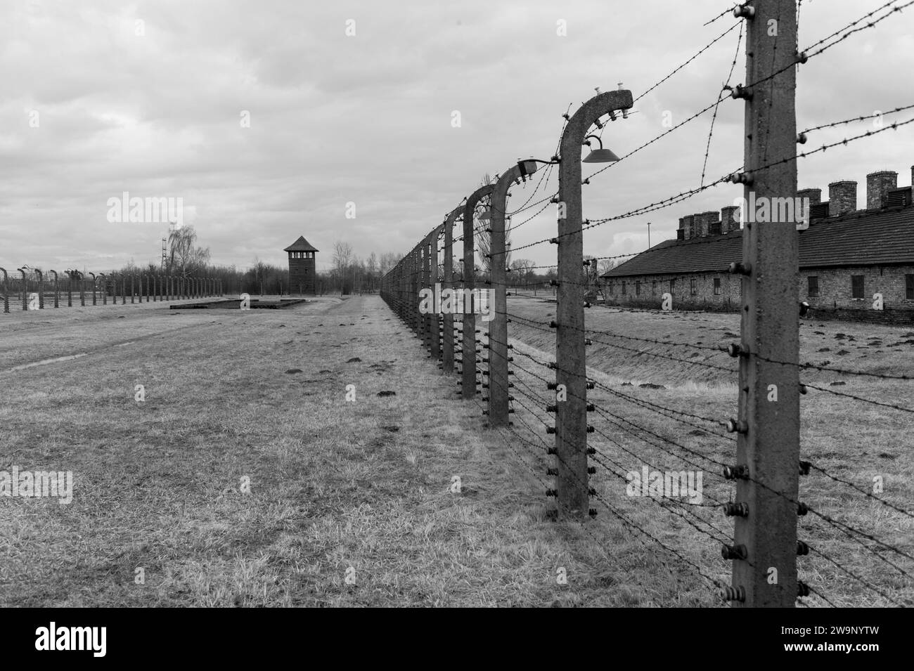 Barbed wire fences, some electric at Auschwitz and Birkenau concentration camps, Poland Stock Photo